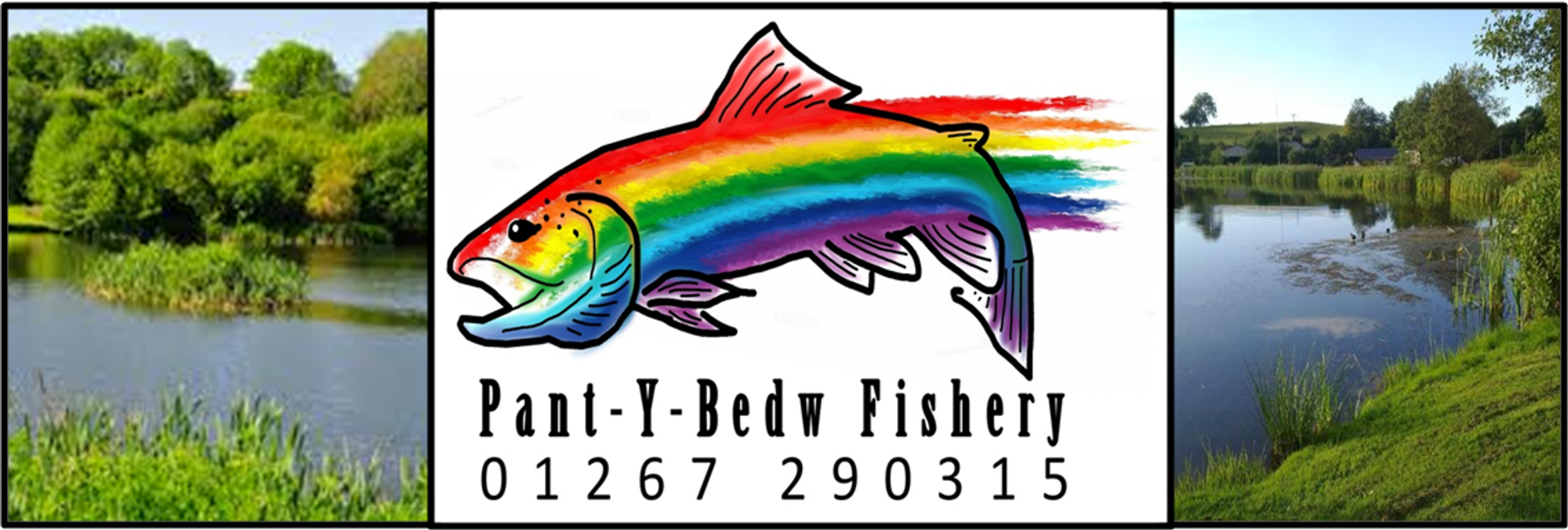 Pantybedw Fishery