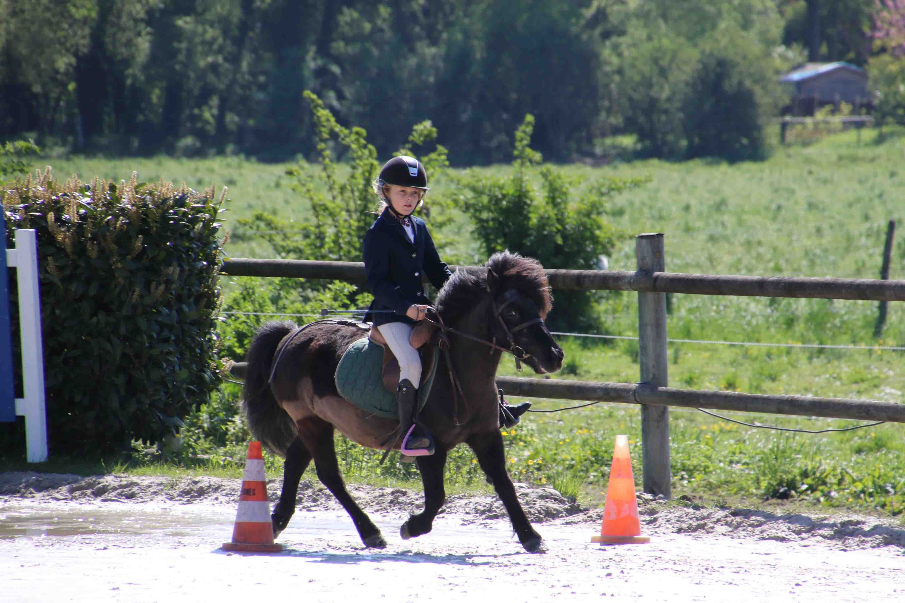 Montgeron Equitation
