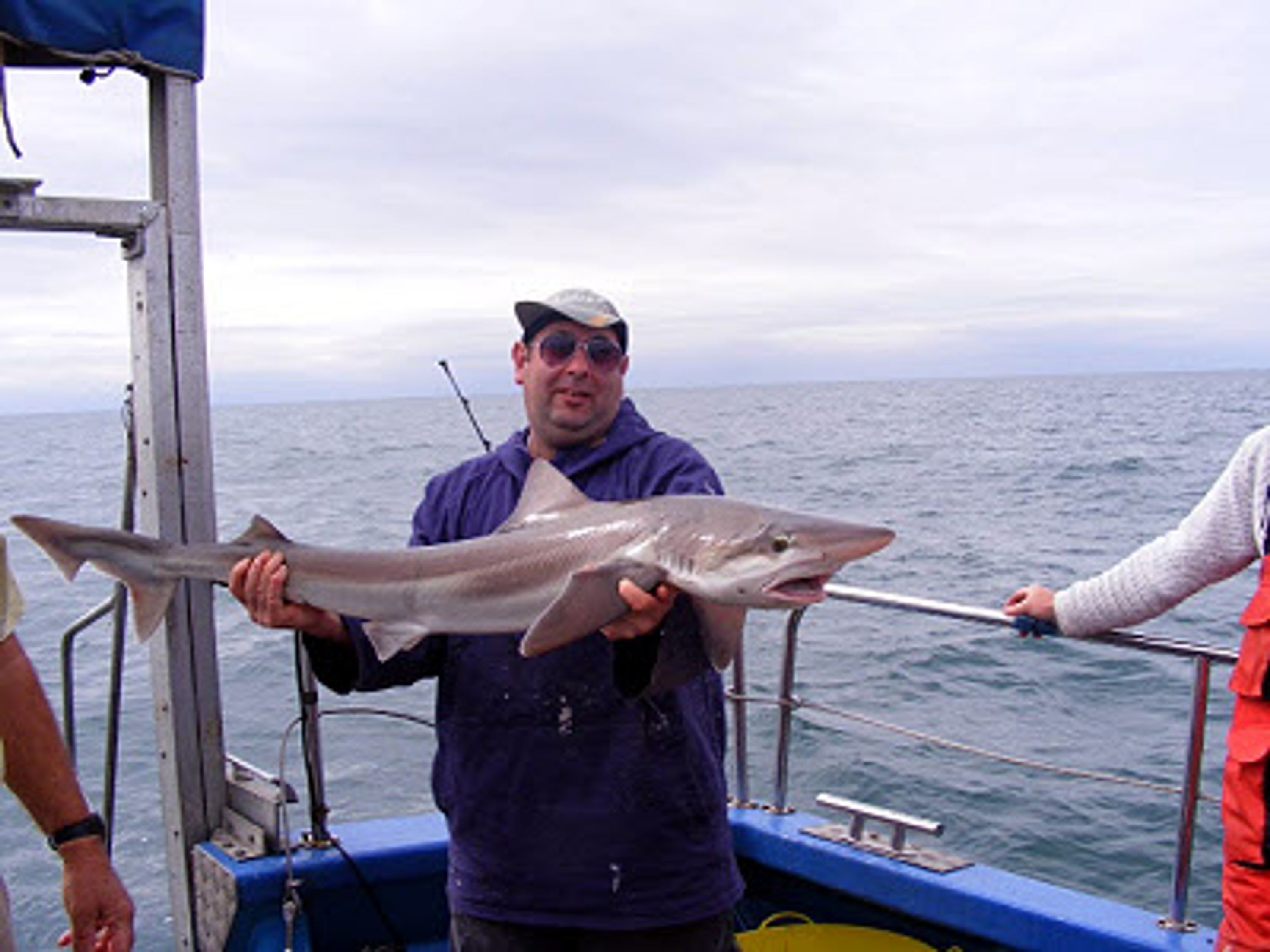 Enlli Charter