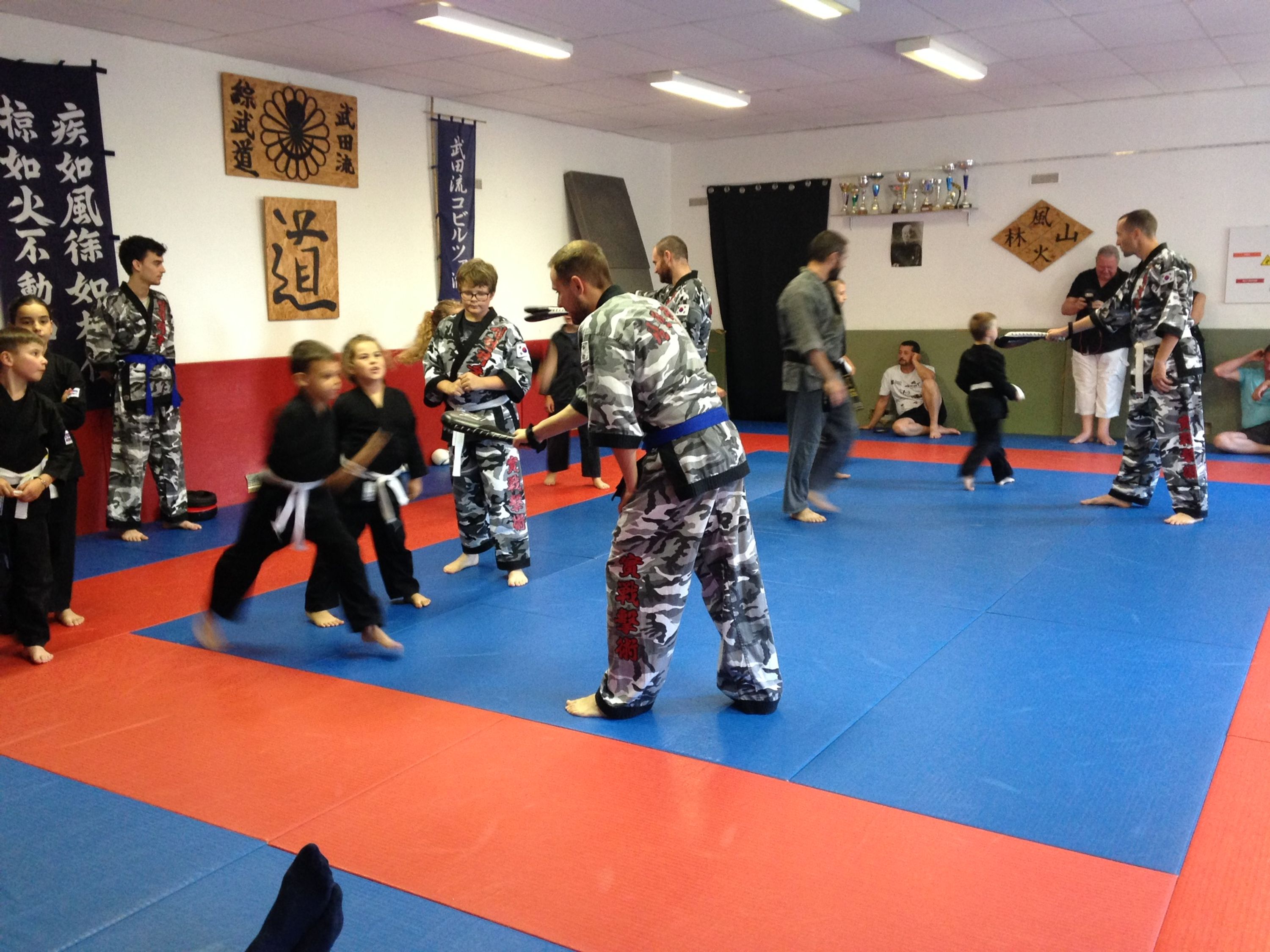 Kyeok Sul Do Martial Arts Mixtes Coréens