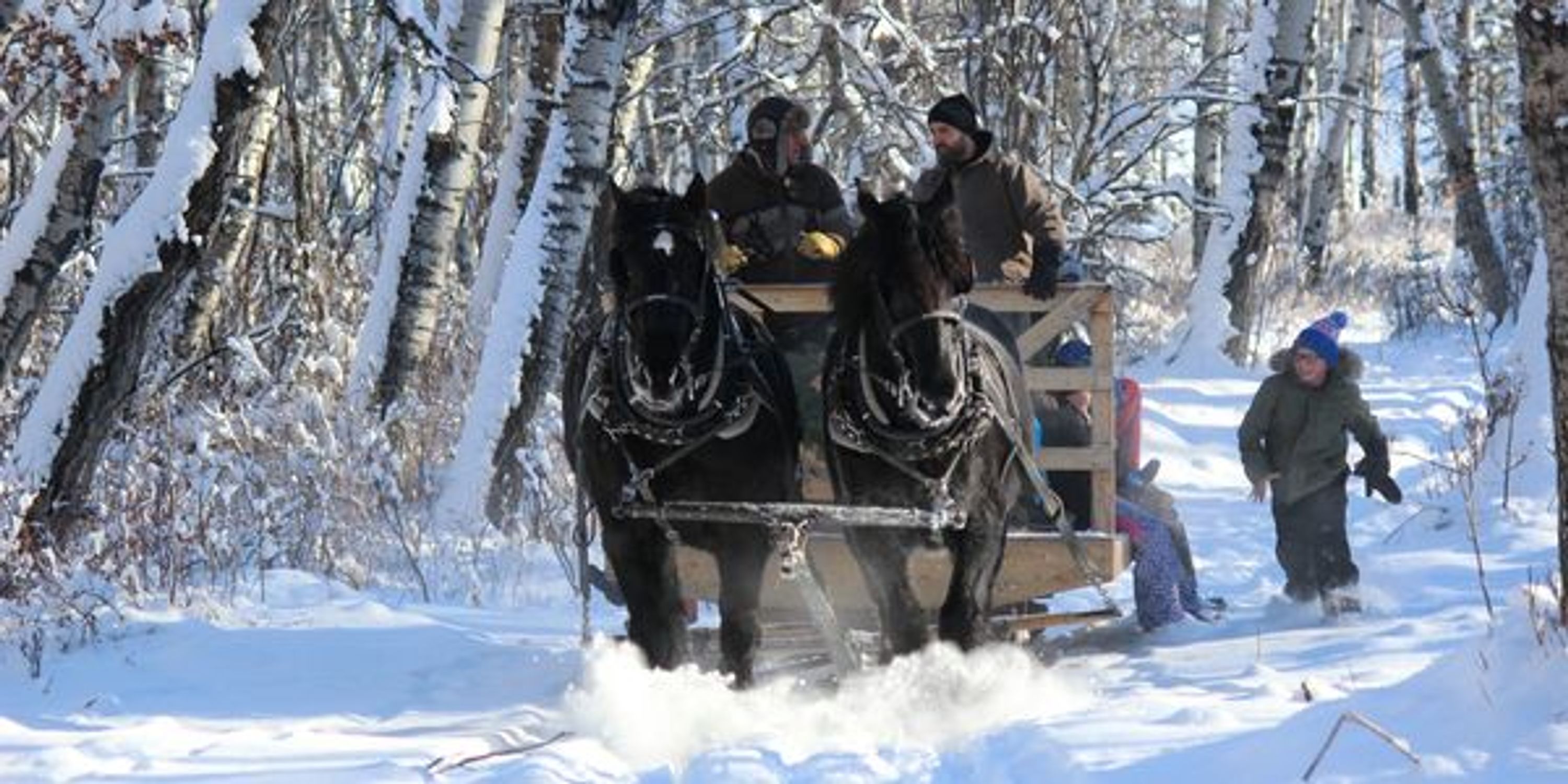 2024 Summer Horseback Riding Camps & Lessons
