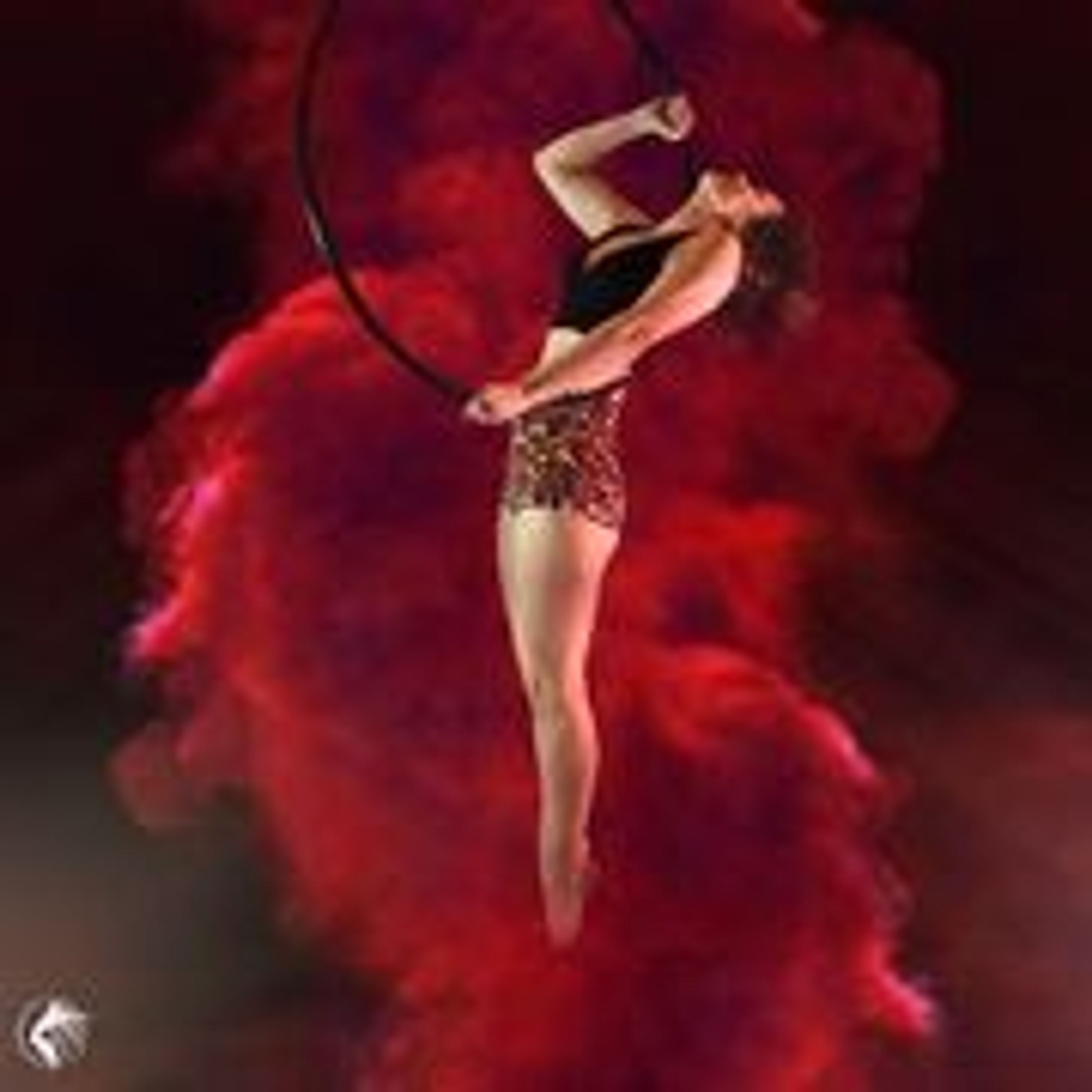Aerial Chains Workshop with Professional Videography