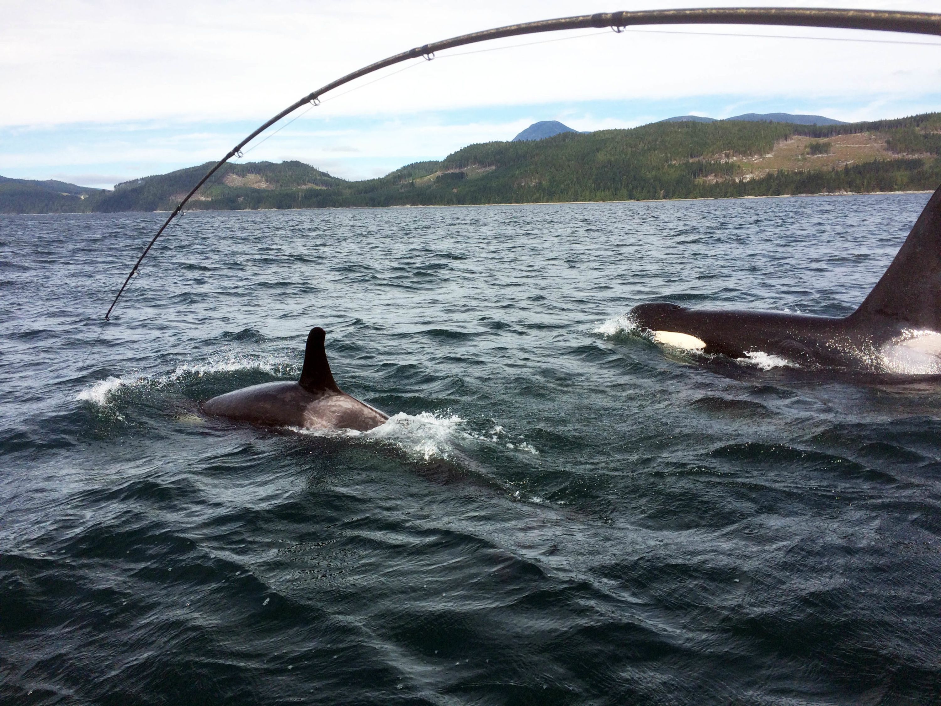 AG-FISH salmon fishing charters