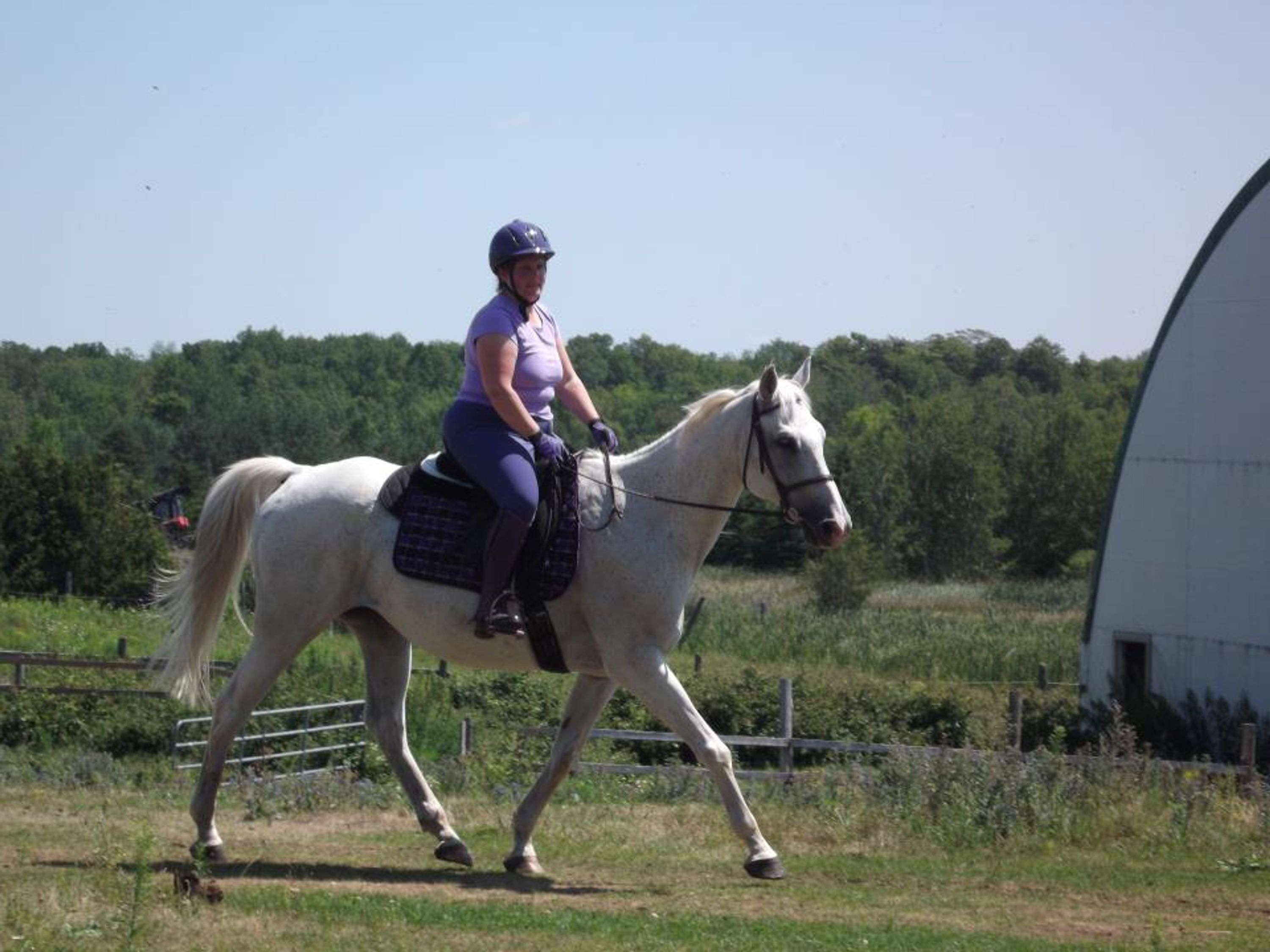 Legacy Equestrian