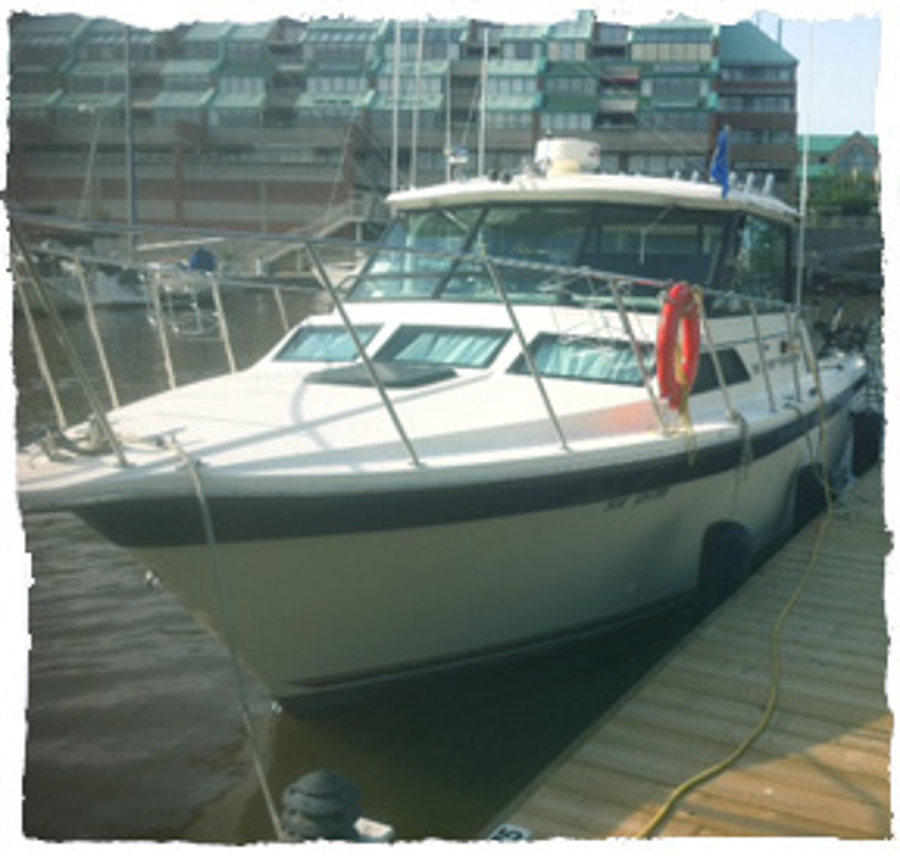 Osprey Charter Fishing