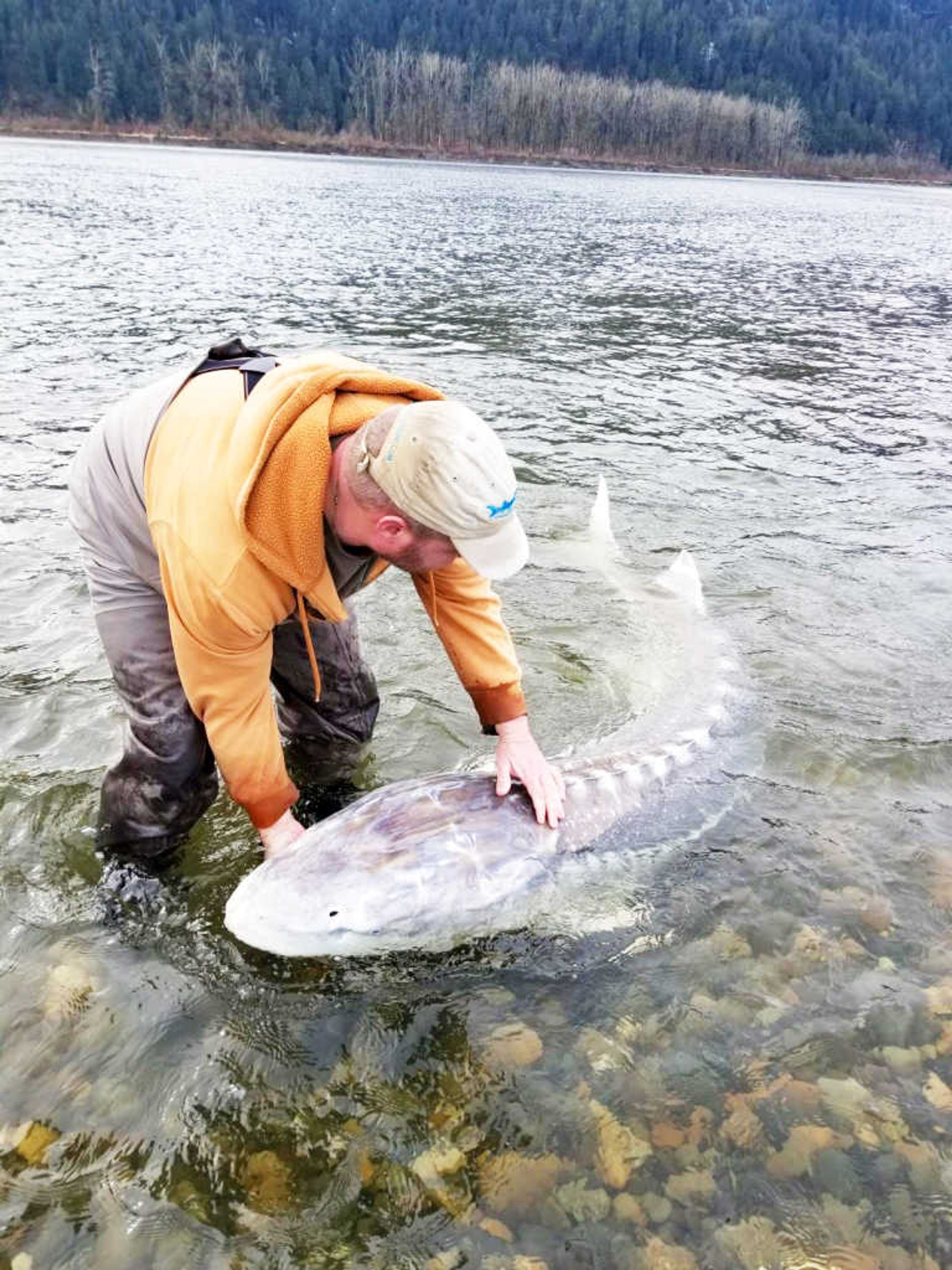 Big Valley Sportfishing Adventures