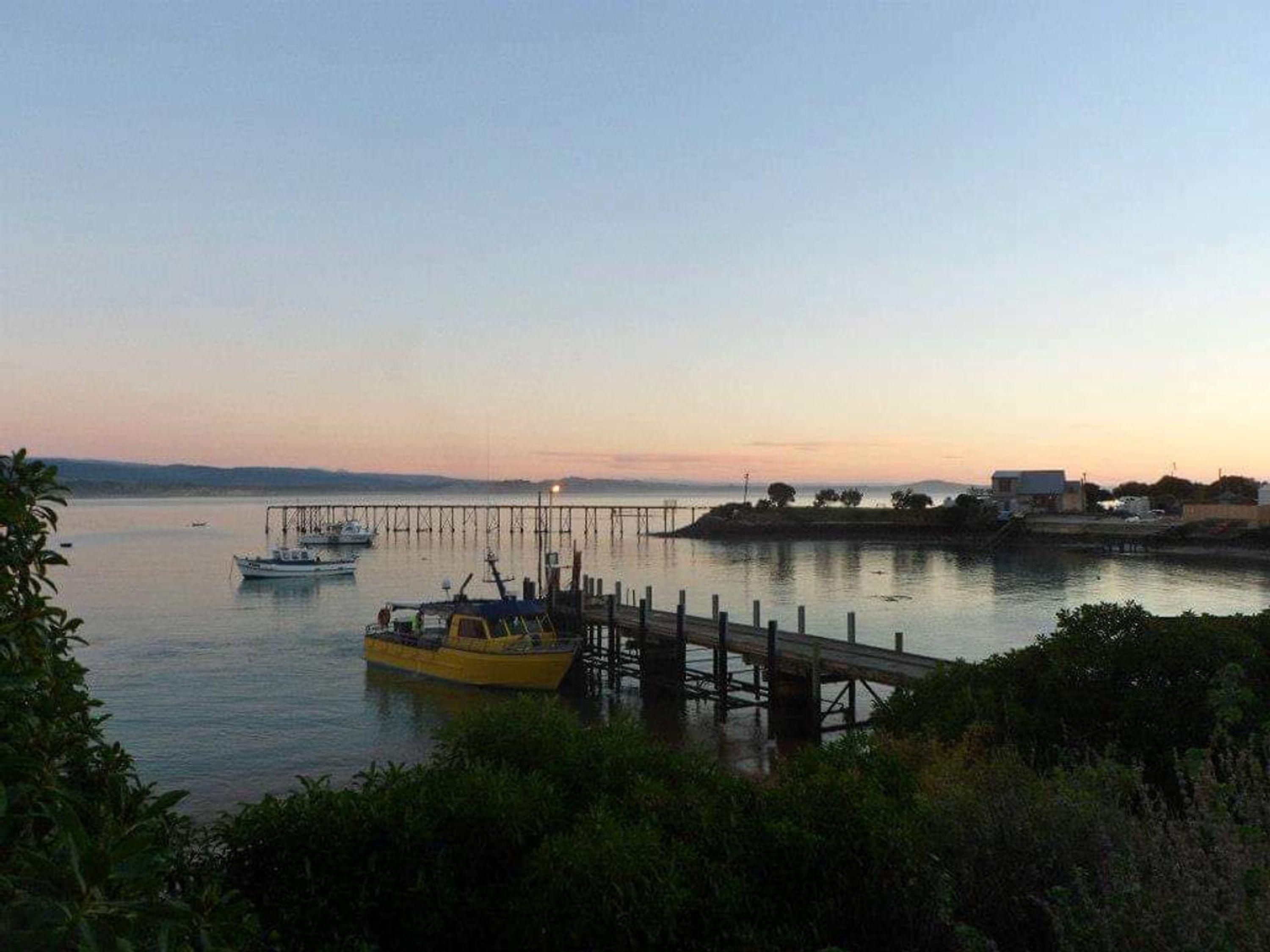Moeraki Fishing Charters