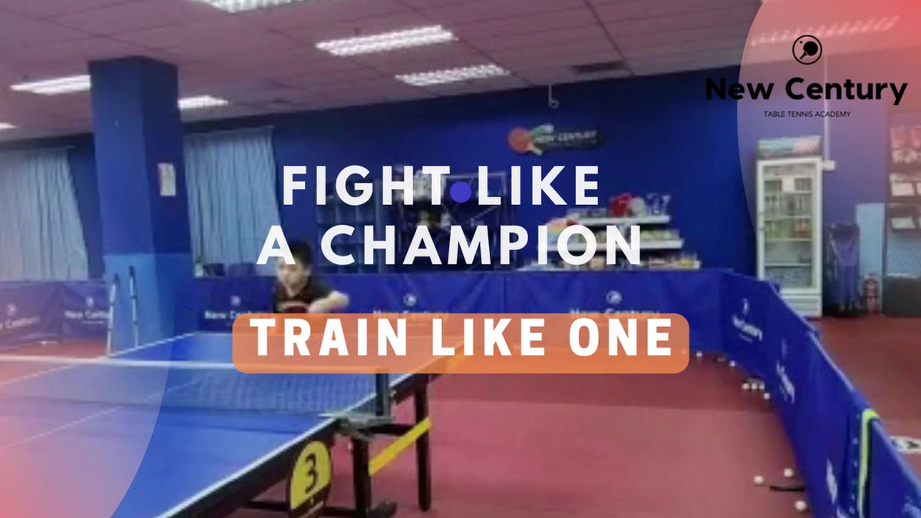 New Century Table Tennis Academy