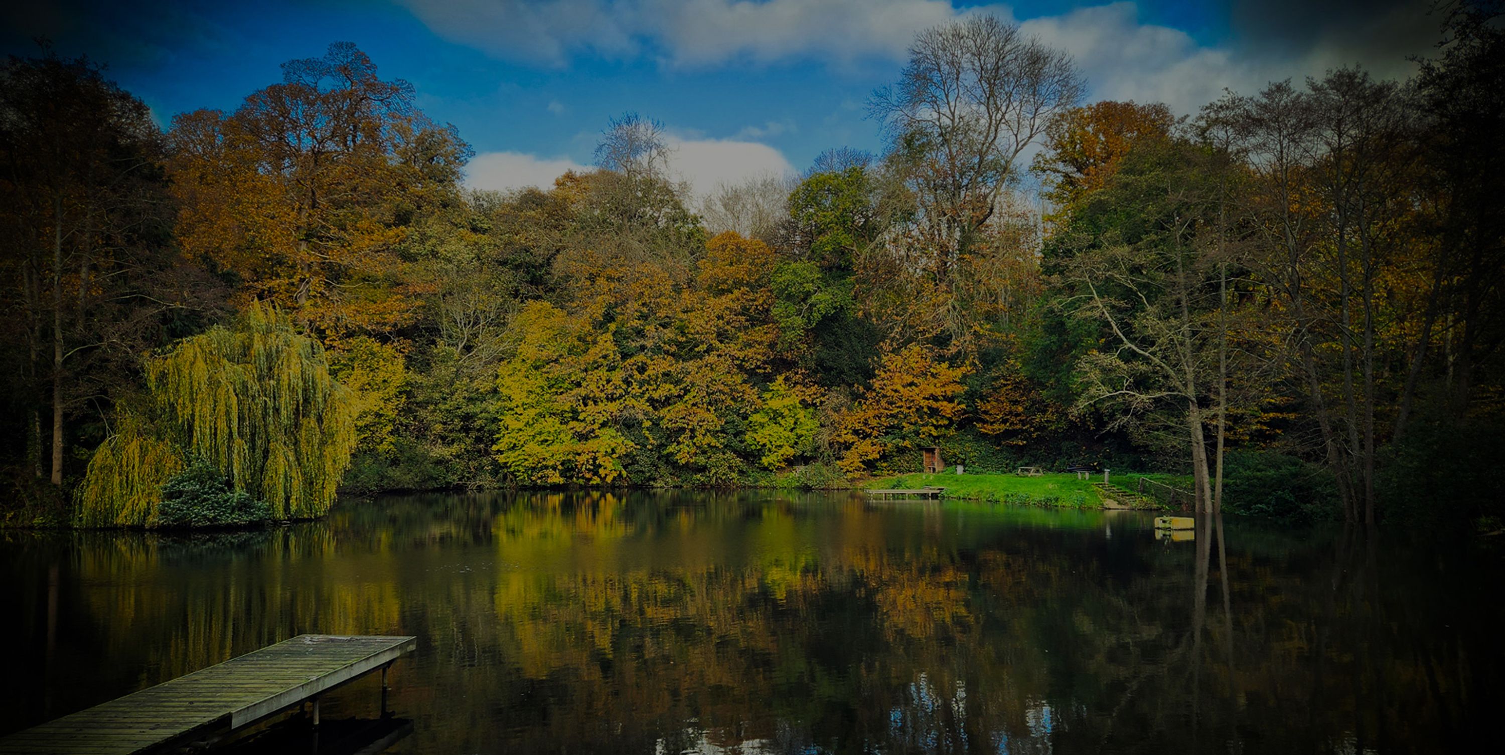 Leigh Mill Fishing
