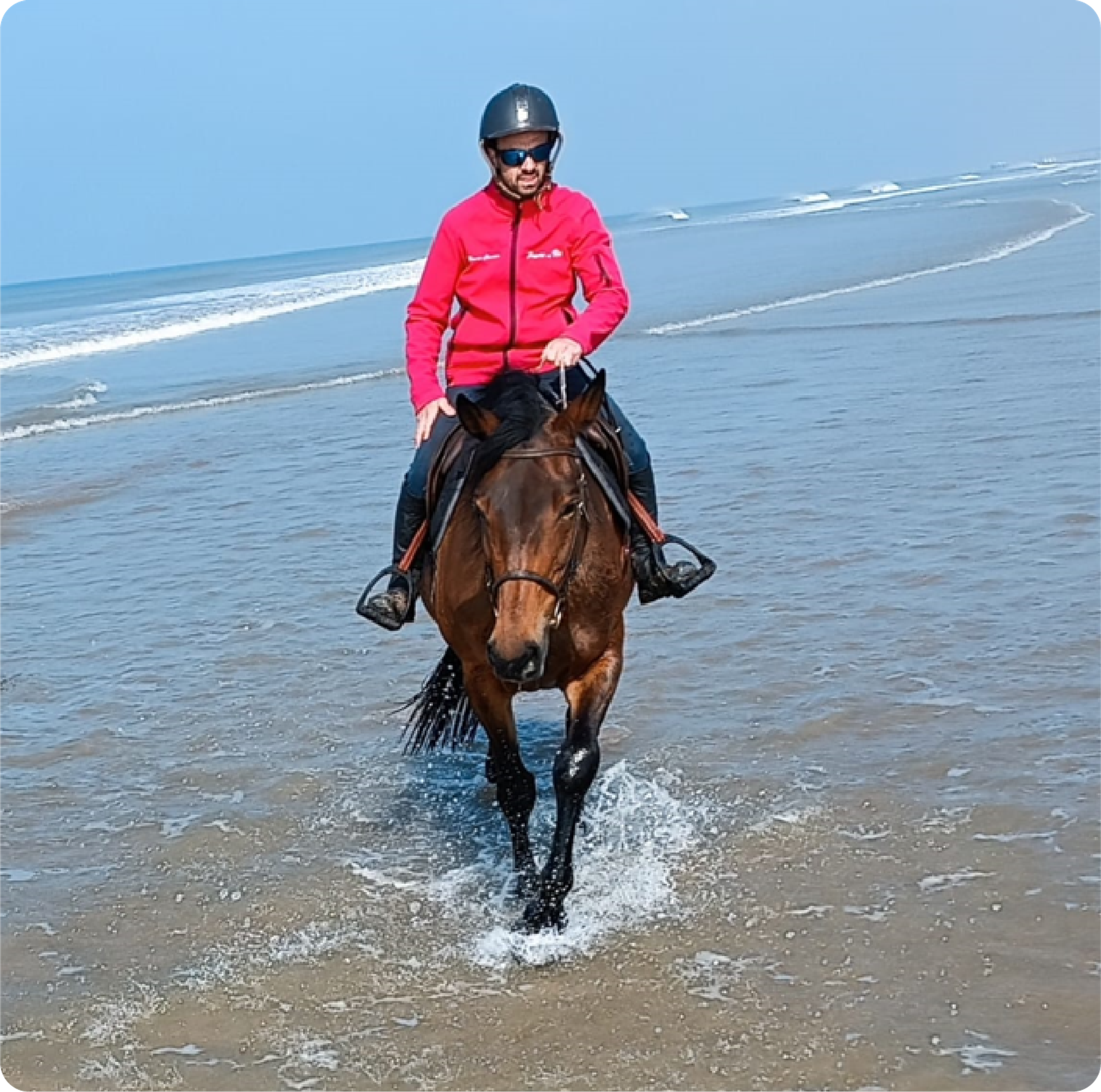 Horse Club Havre De Vie