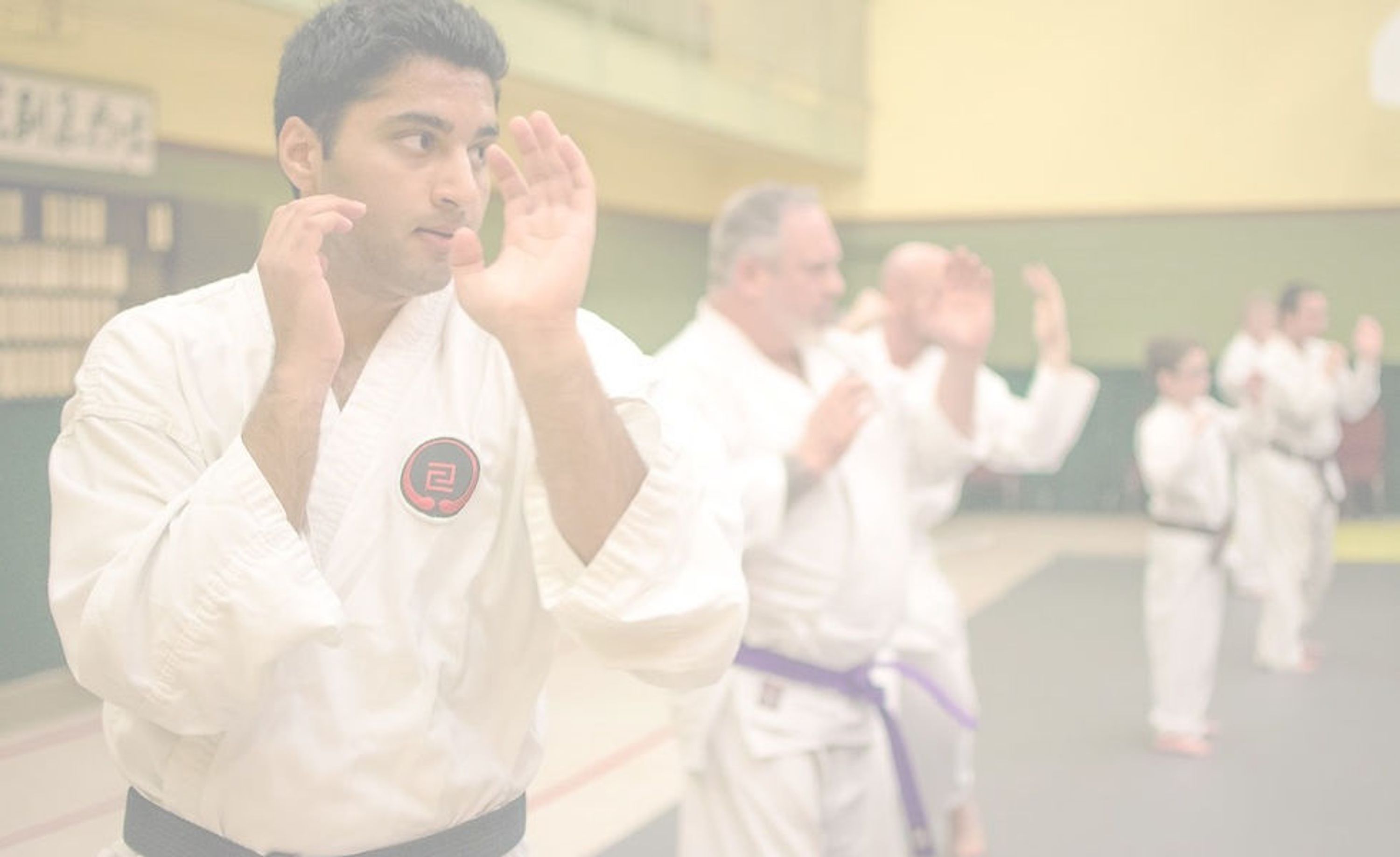 Shugy Karate Dj