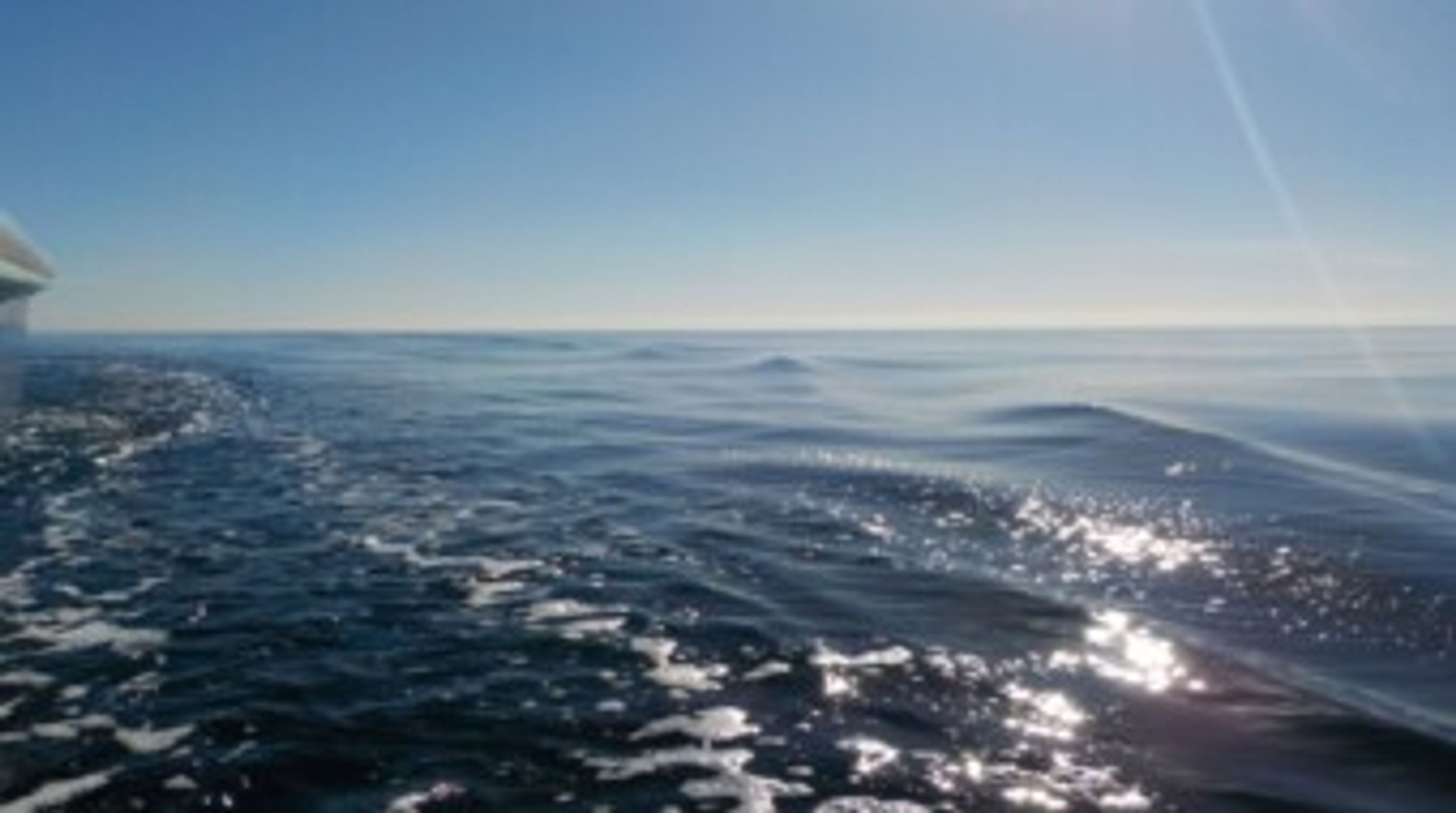 Bay Fish N Trips