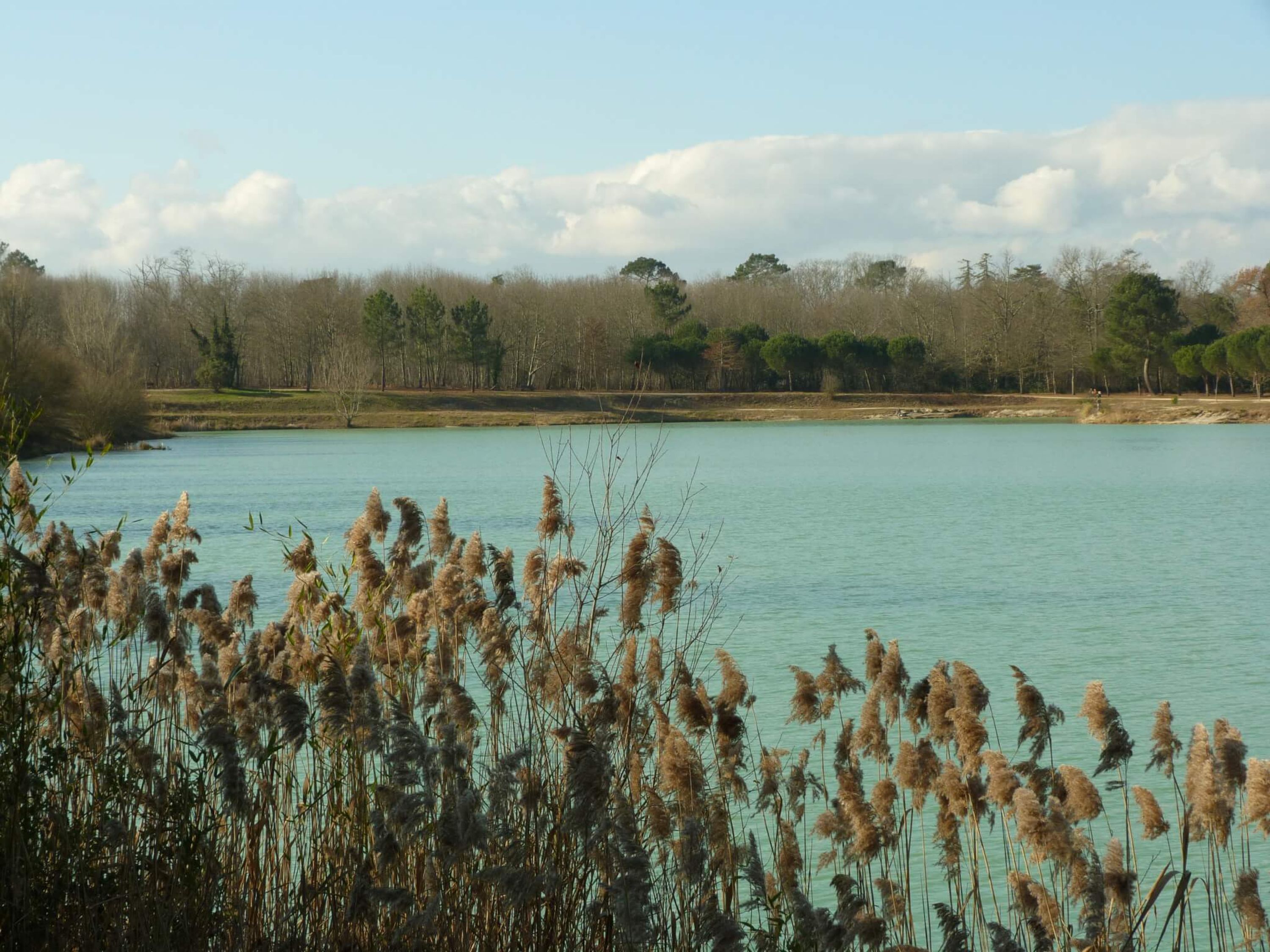 Fédération de Pêche de la Gironde