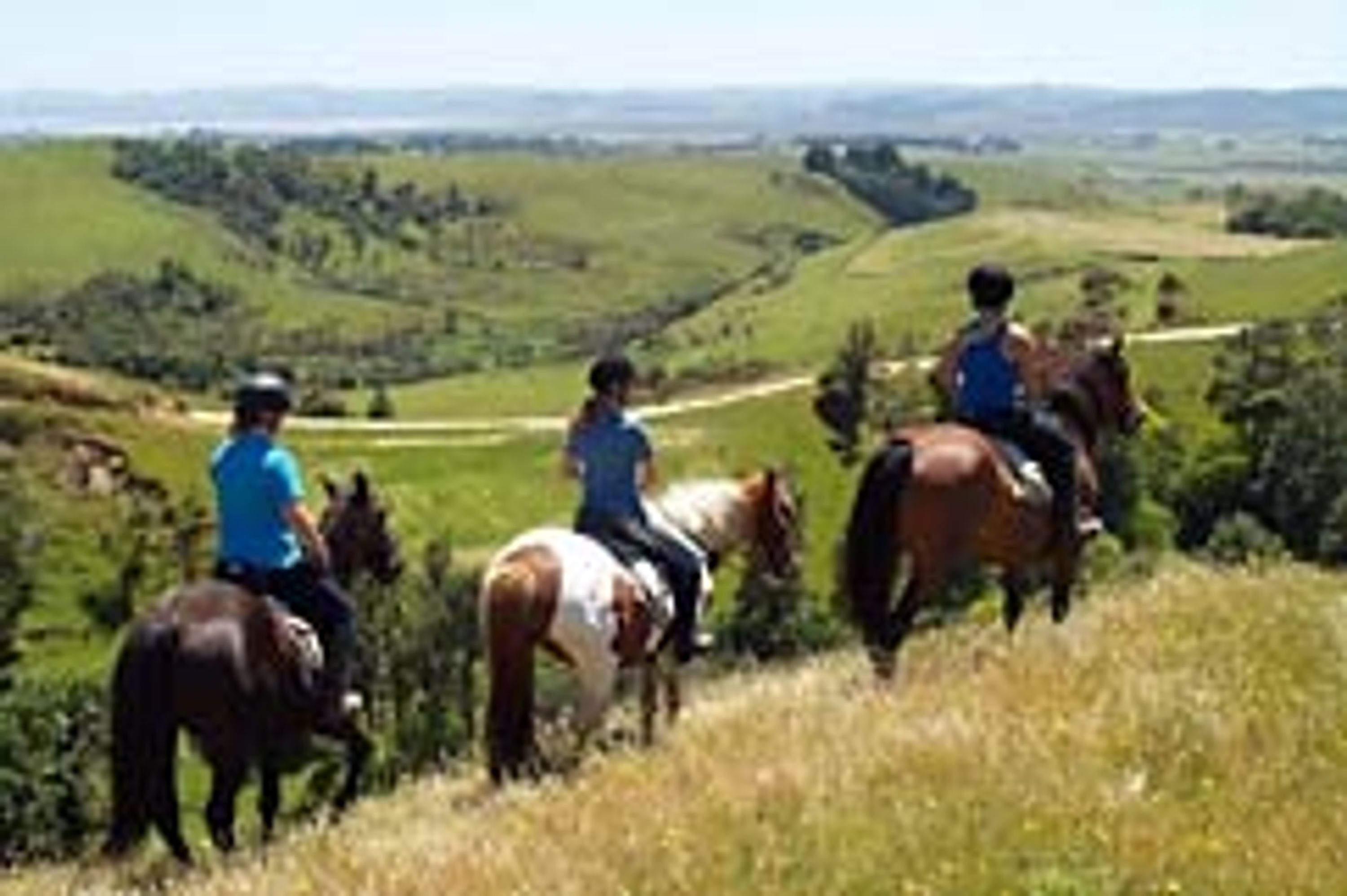 Horse Lease Programme