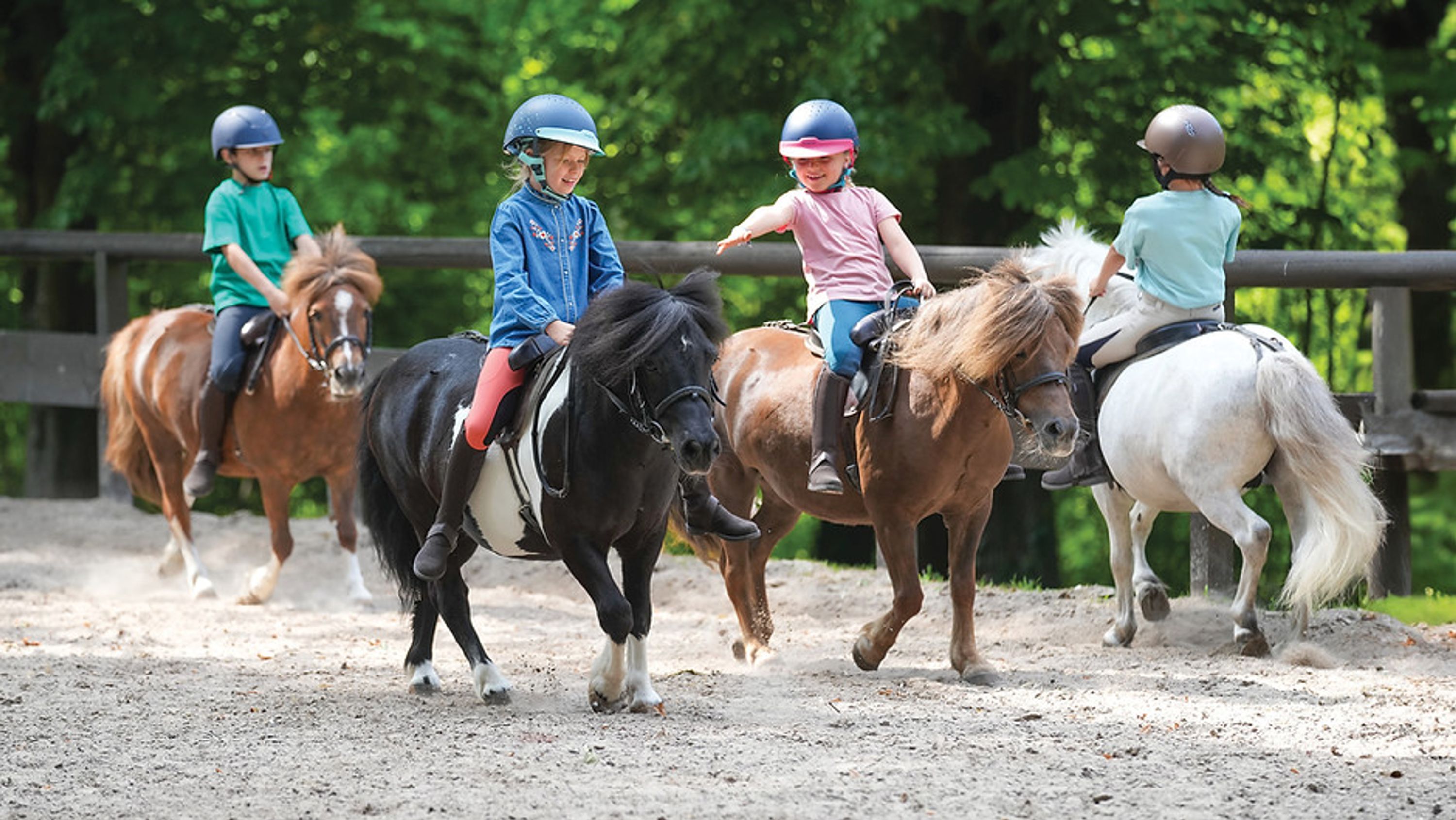Abc Poney