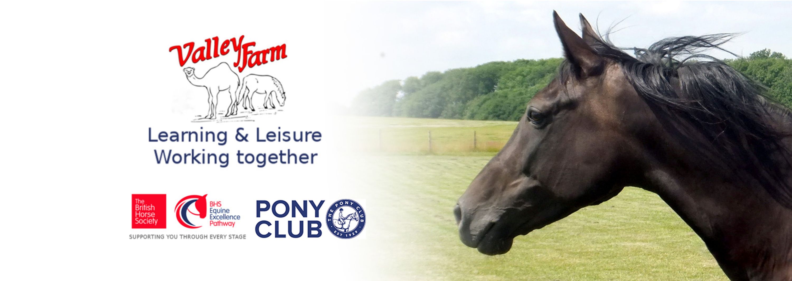 Residential Pony Camps