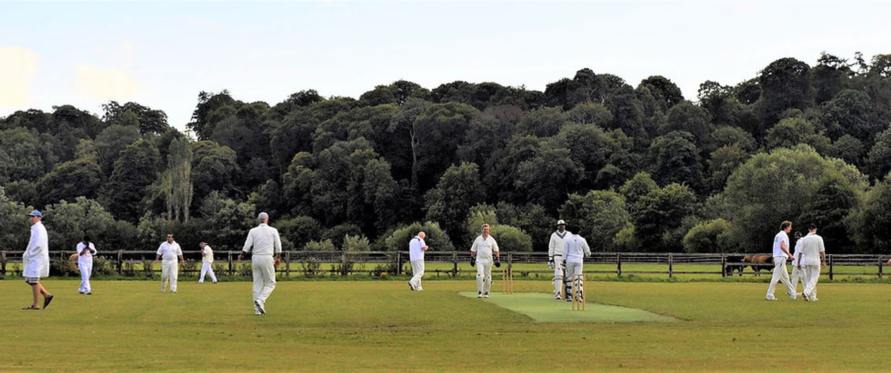 Mount Juliet Cricket Club