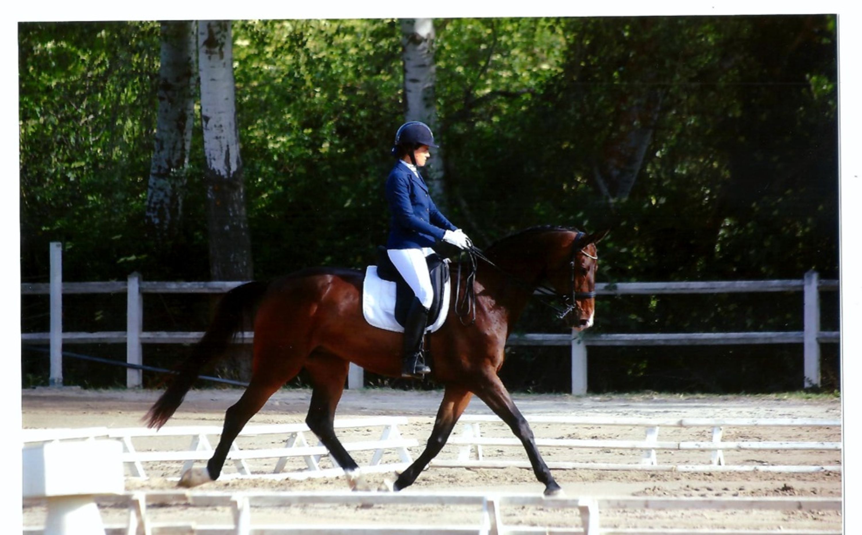 Equina Poney Club