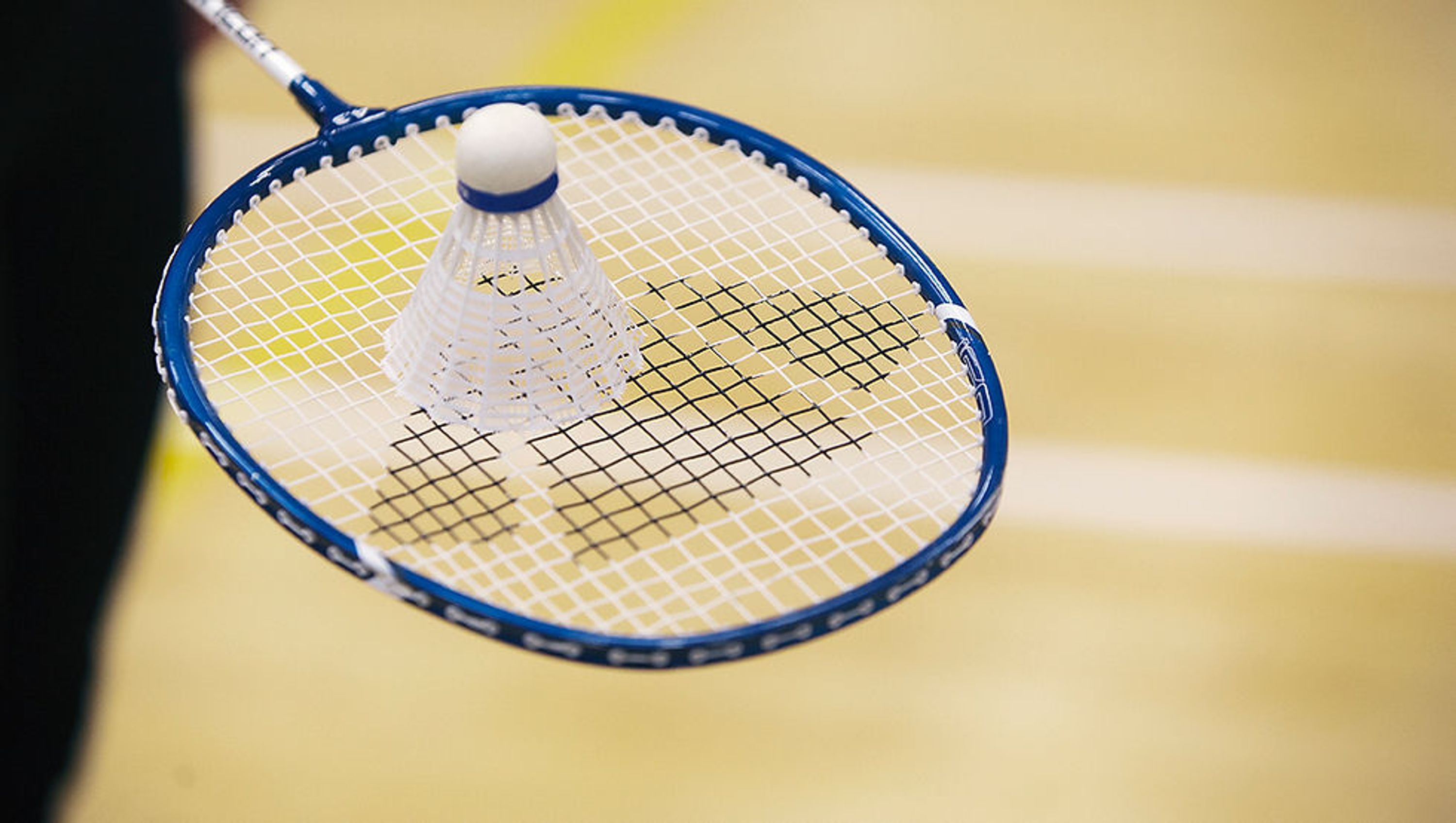 Badminton Club de Frontonas