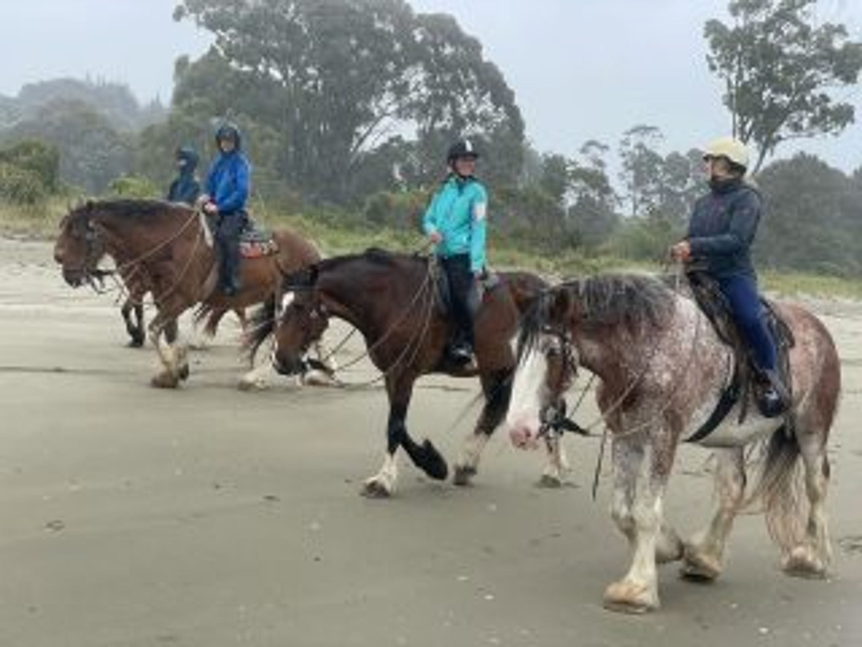 Golden Bay Vaulting Team