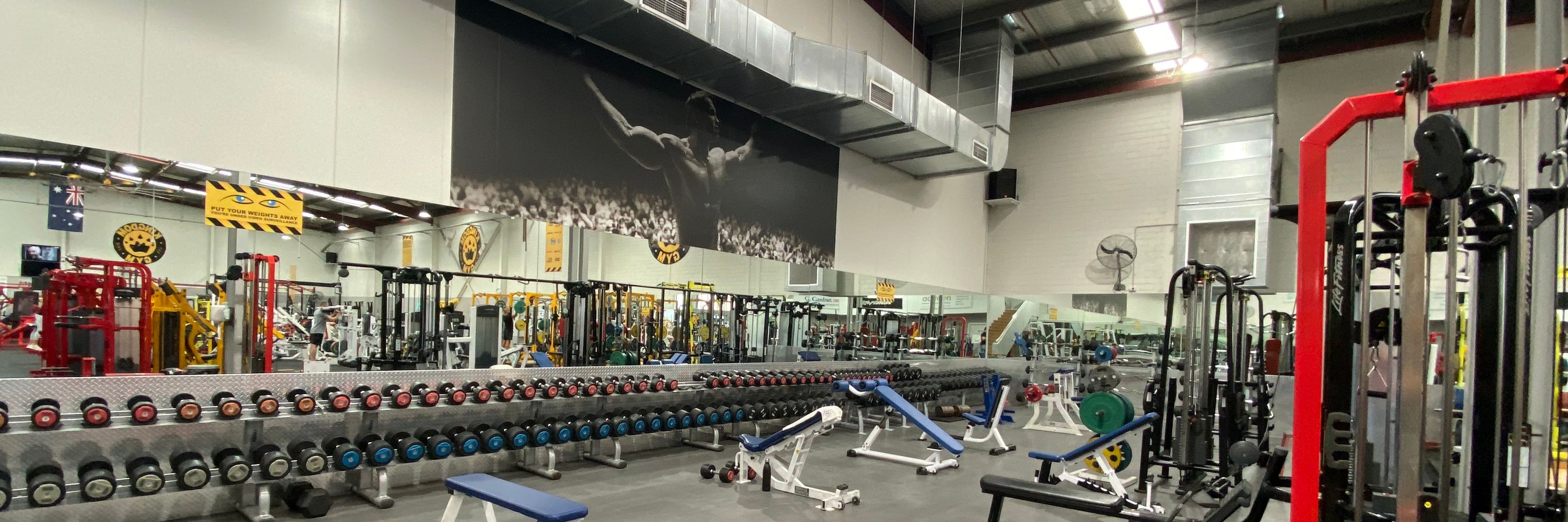 Kingdom Gym