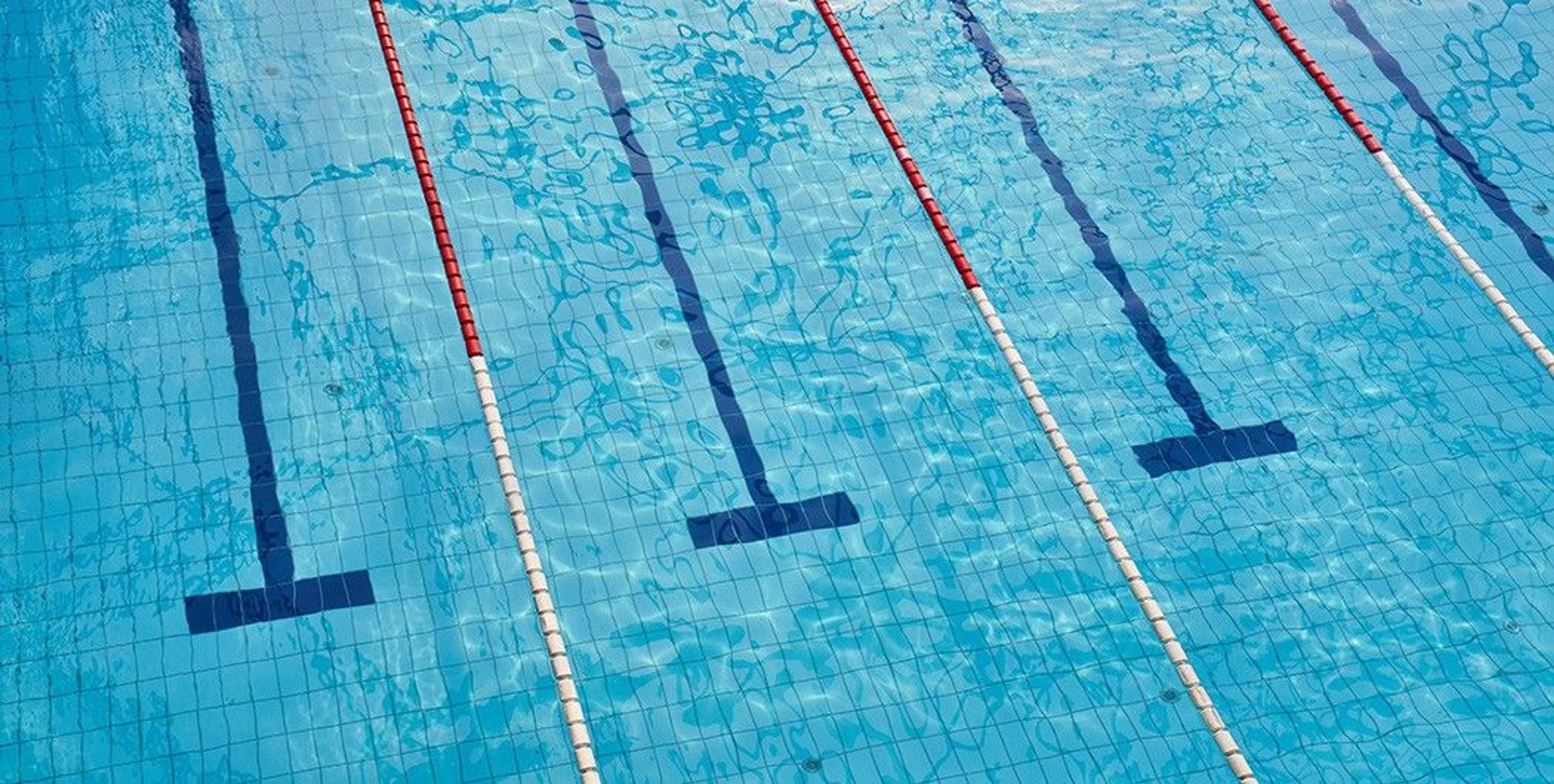 Angela's Swim School