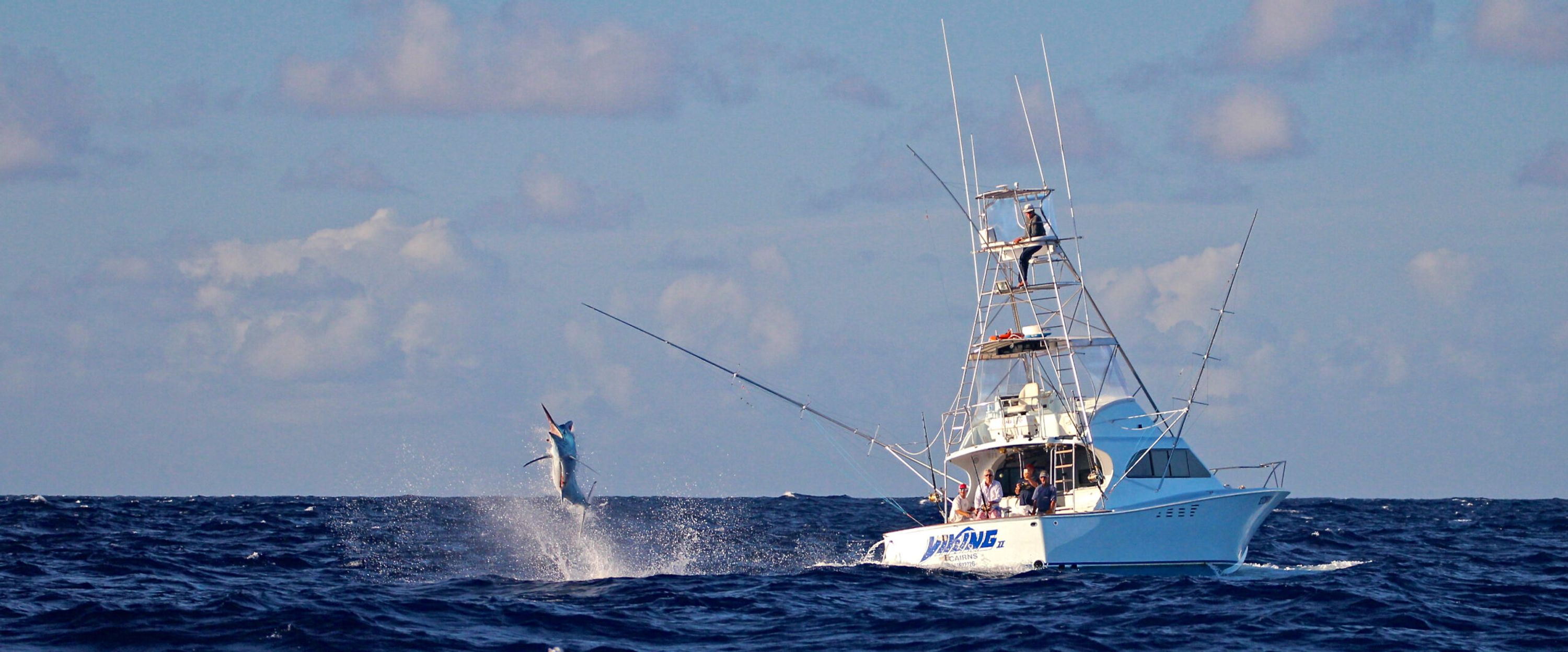 Australian Marlin