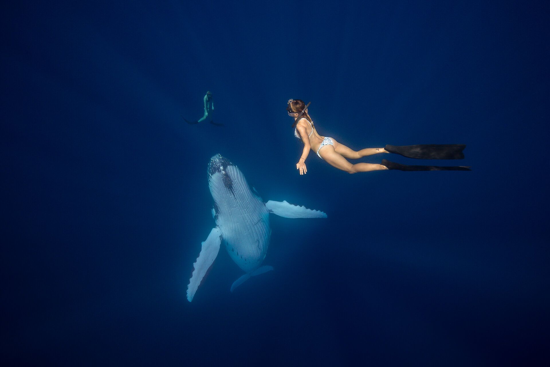 AIDA 1 Introduction to Freediving