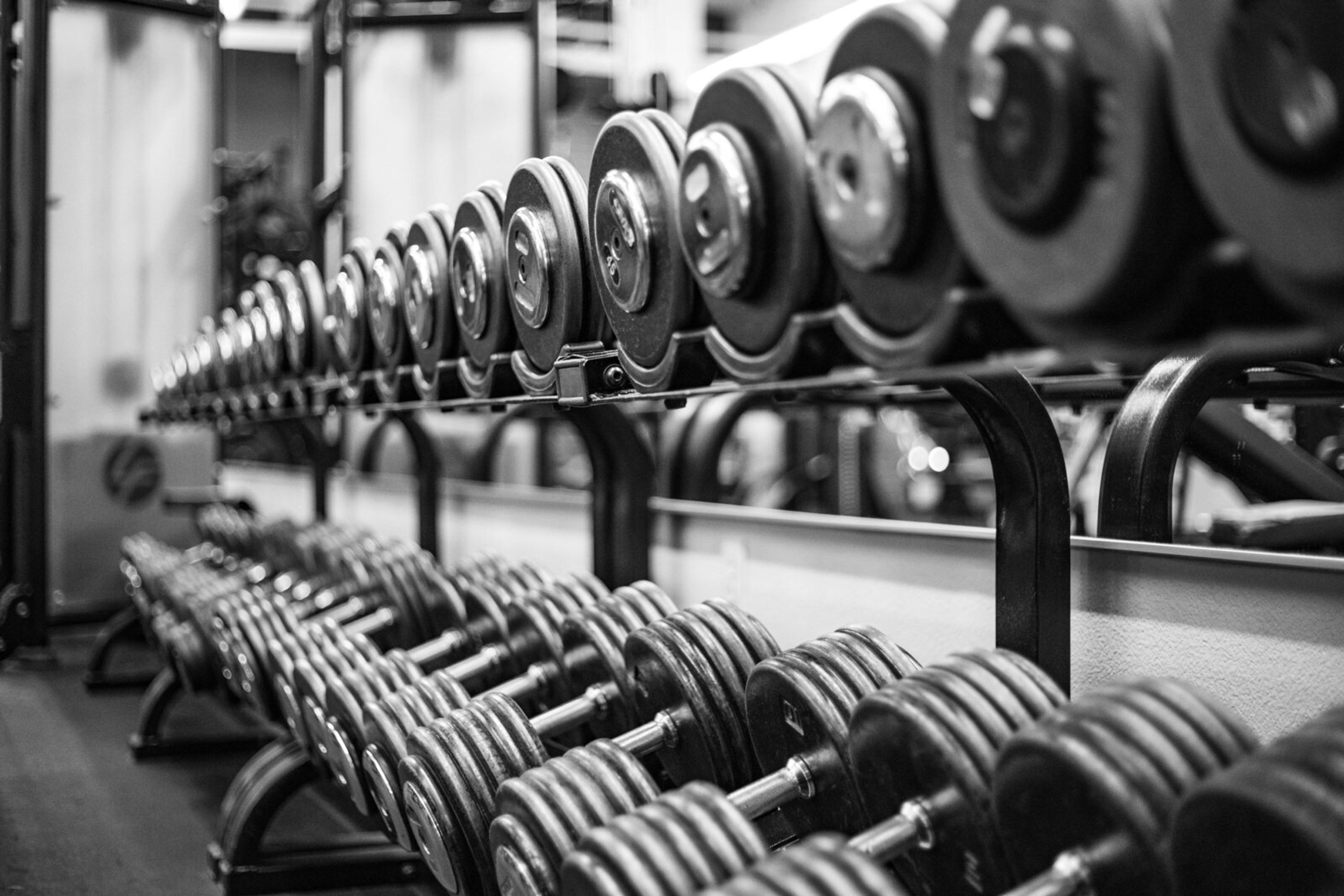 TEAM IRON elles Personal Training