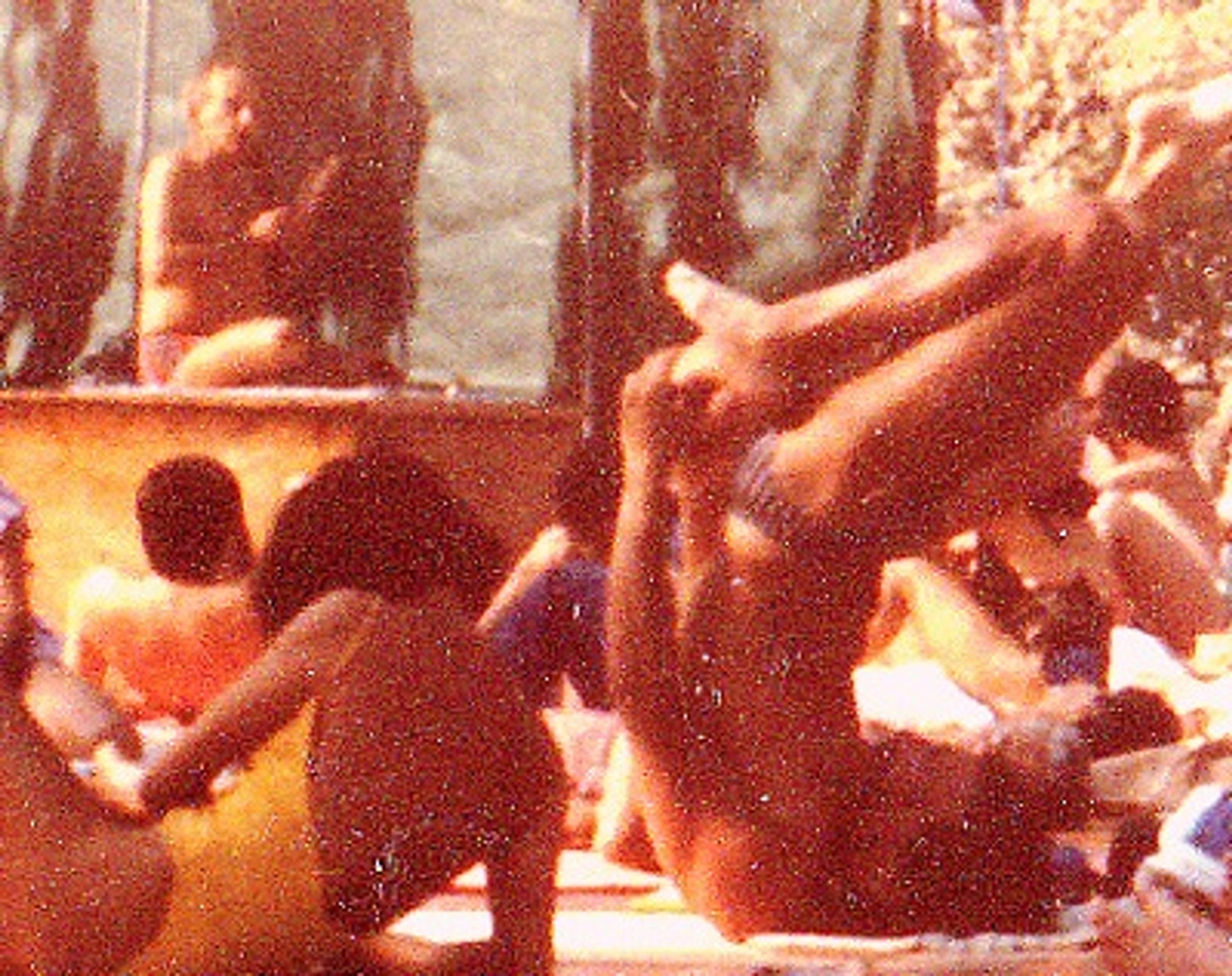 Institute Leininger - Research Center Kriya
