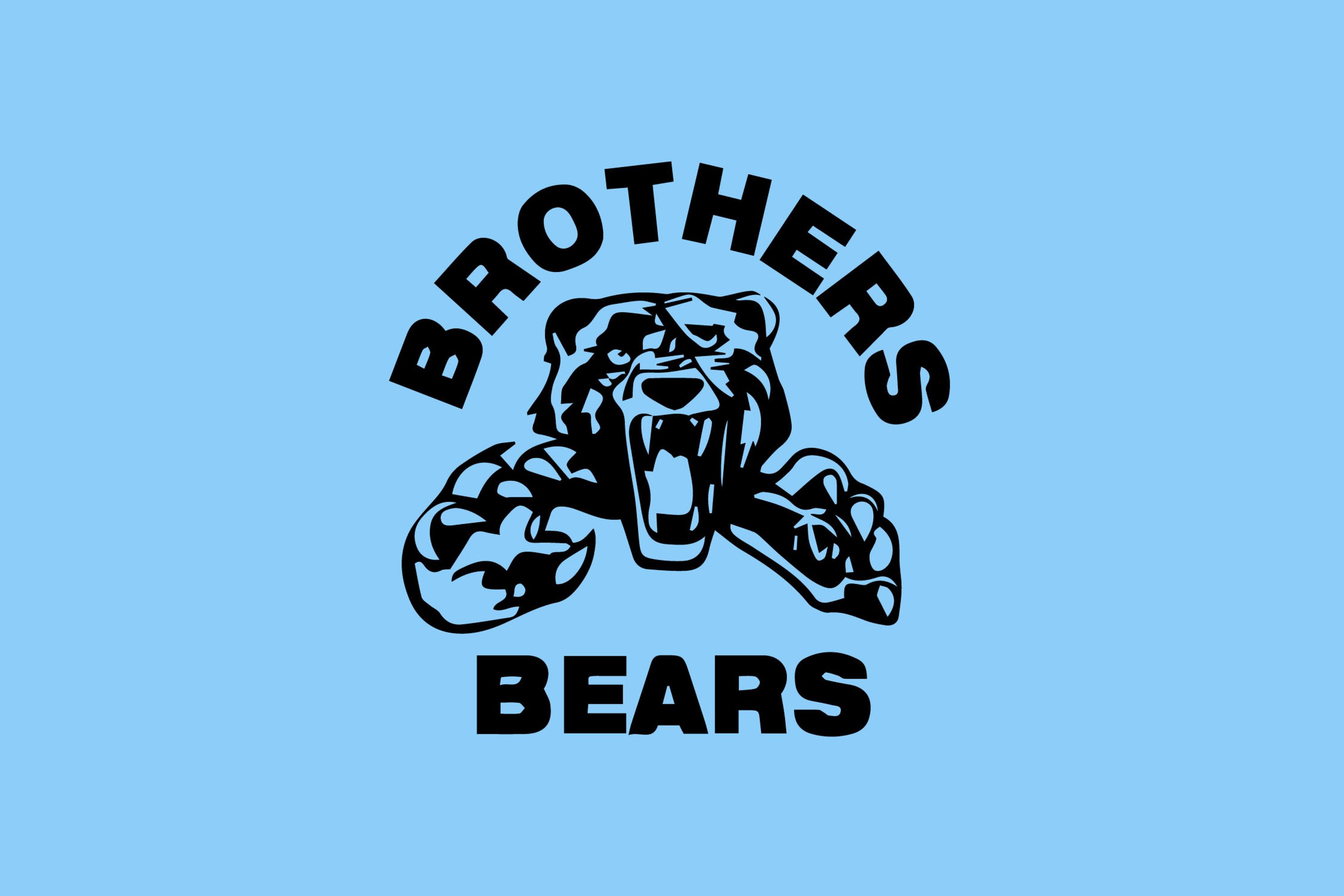 Brothers Hockey - the Mighty Bears