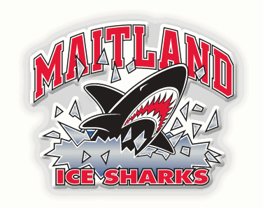 2024 Ice Sharks Spring Season