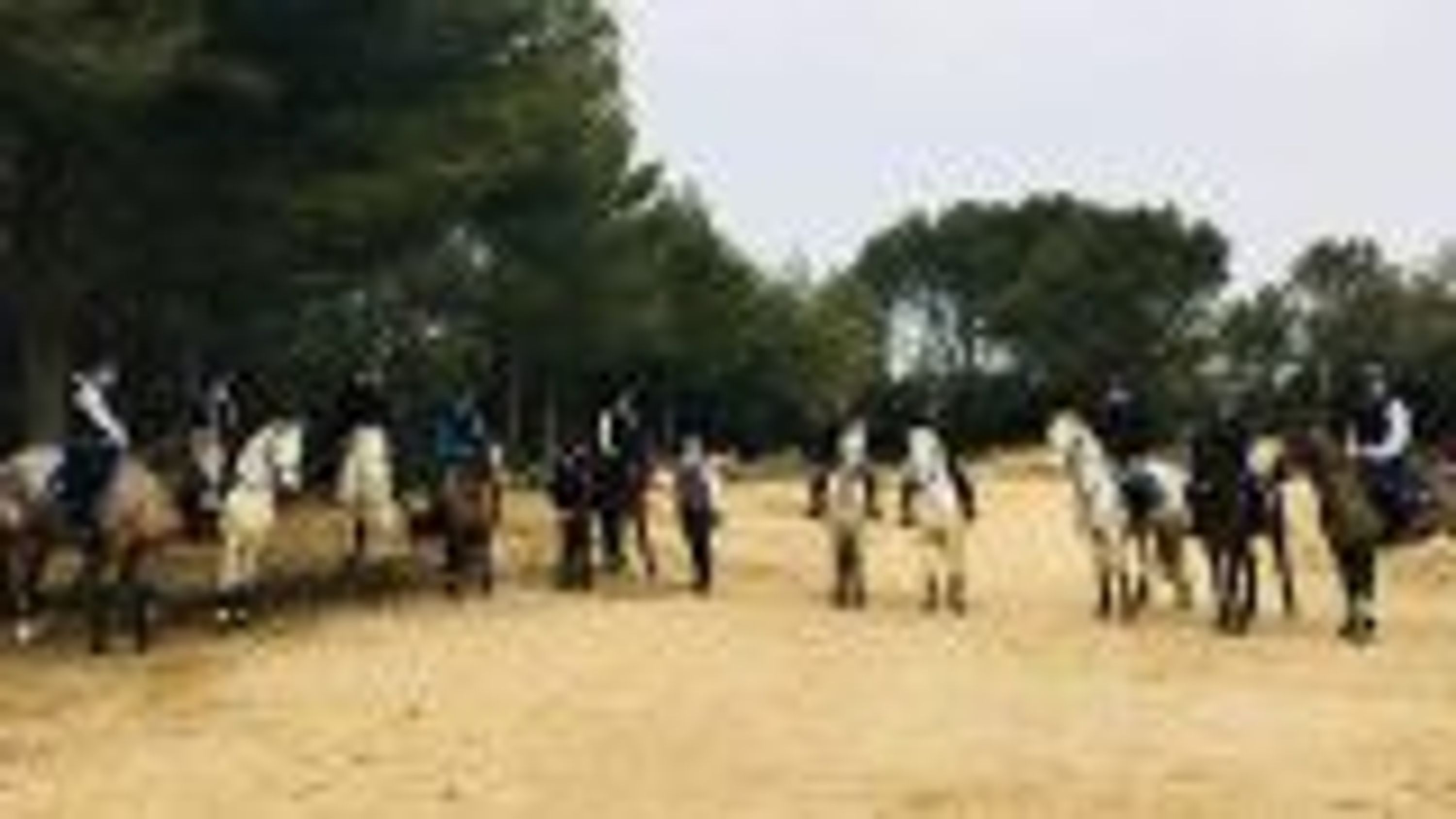 Stables Du Lion D'or