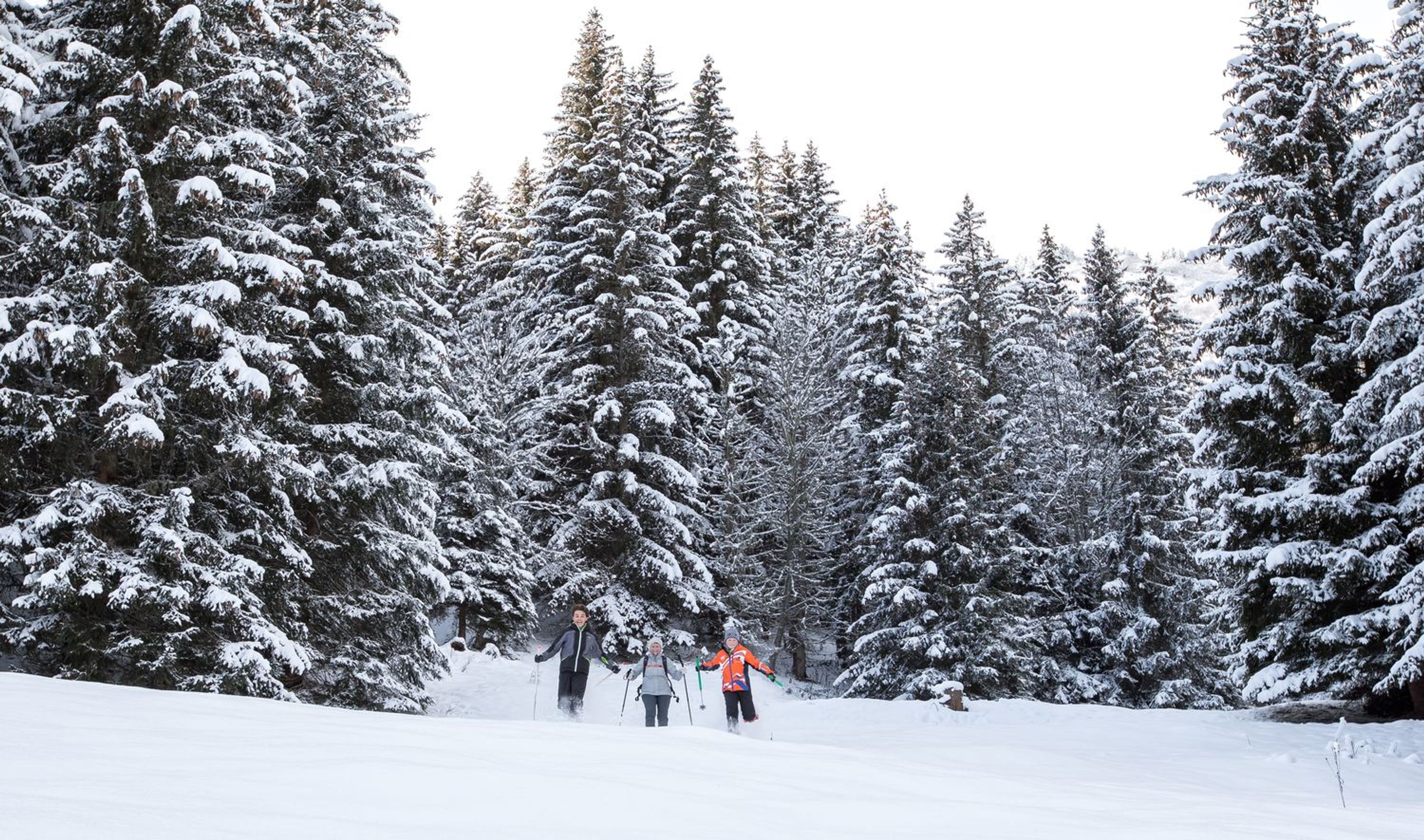 Esf Les Houches