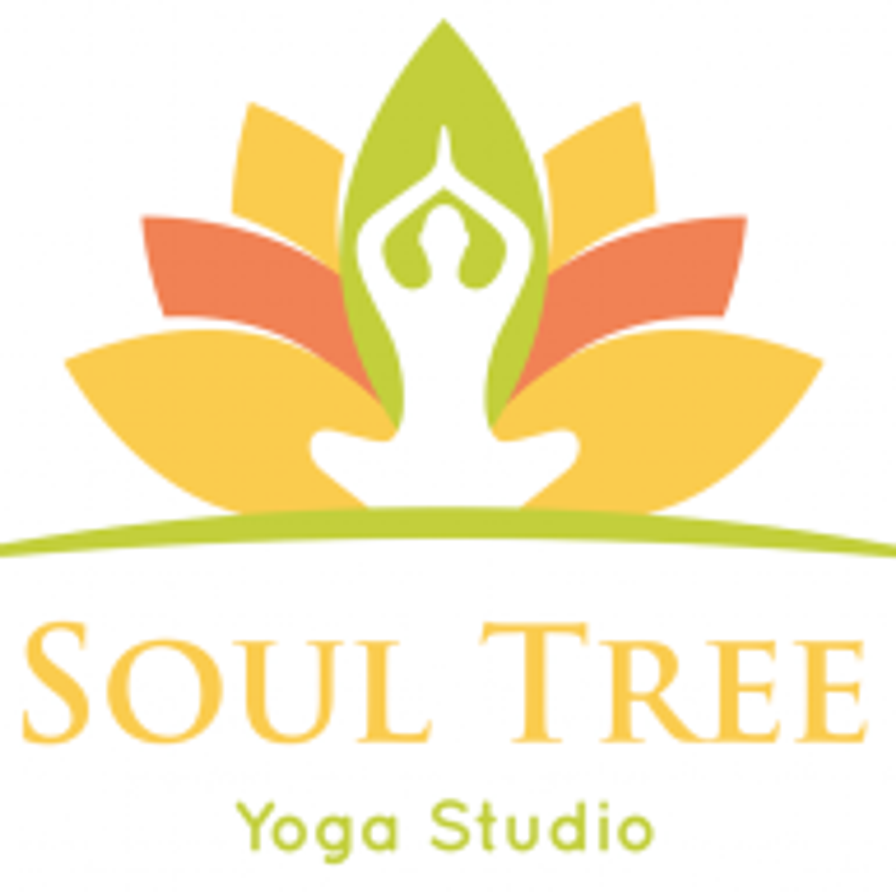Yoga Teachers