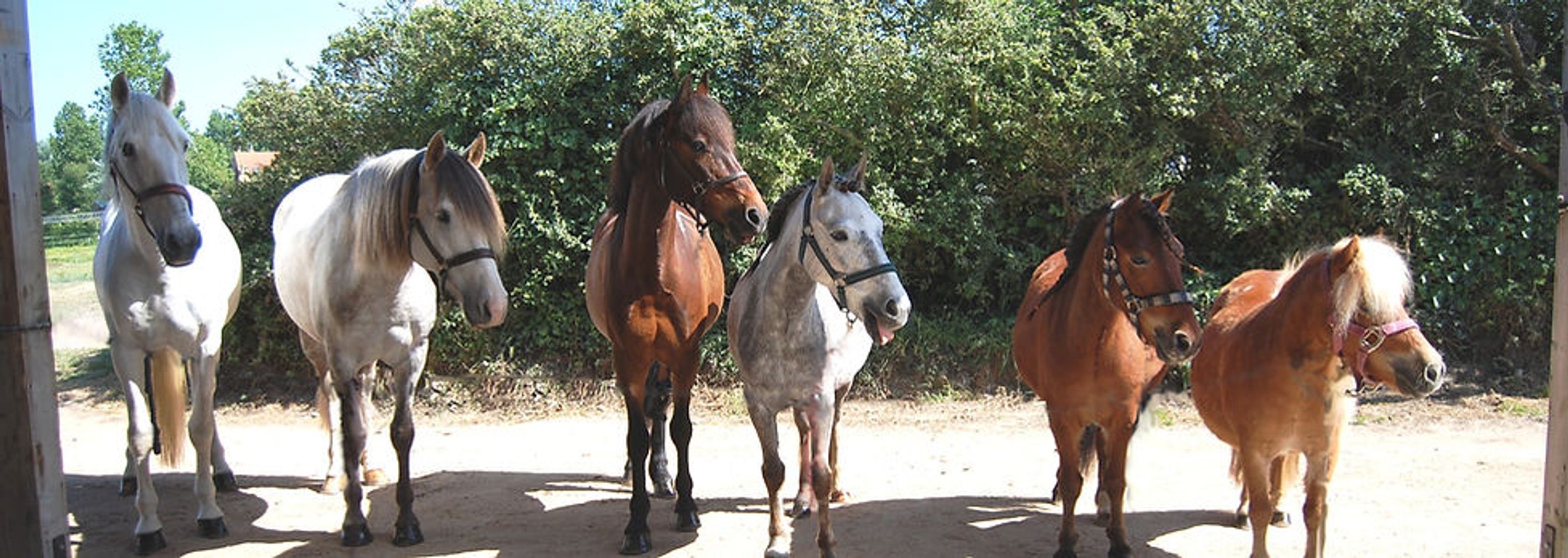 PONY EXPRESS DU COTENTIN