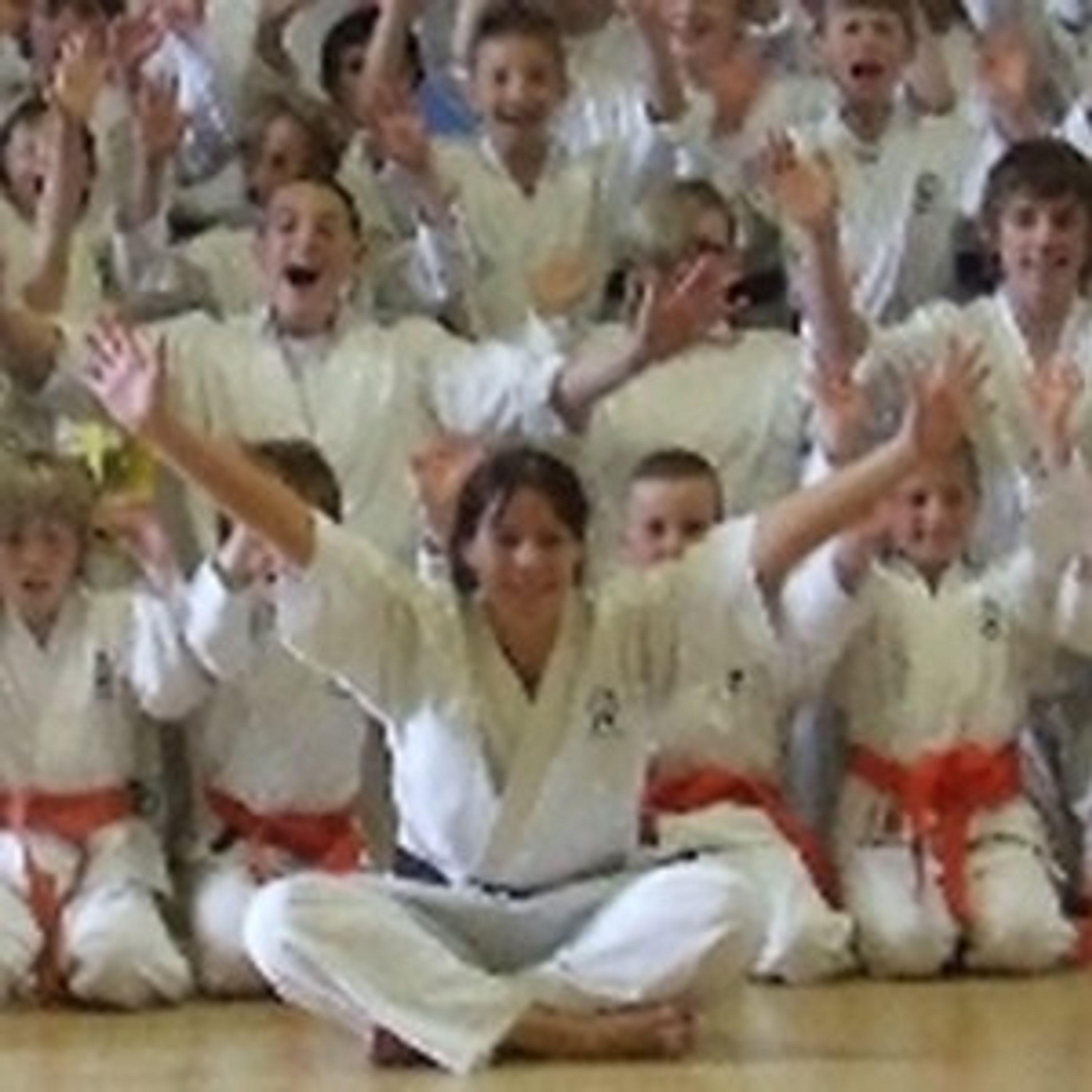 Zenshin Dojo, Stapleton
