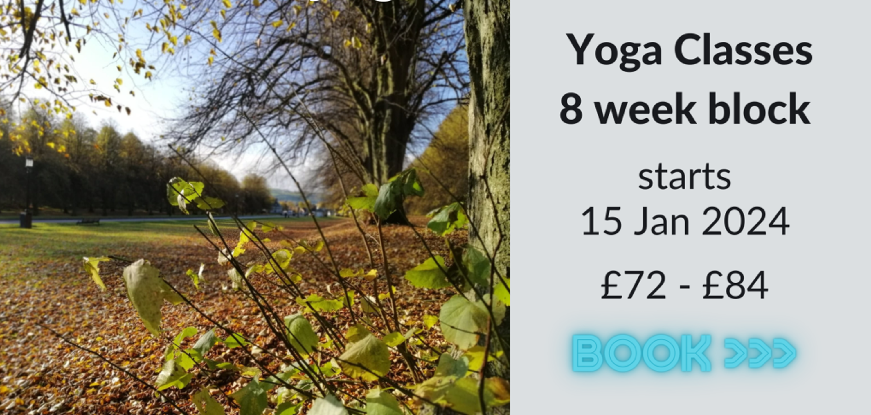 Namaste Yoga Belfast