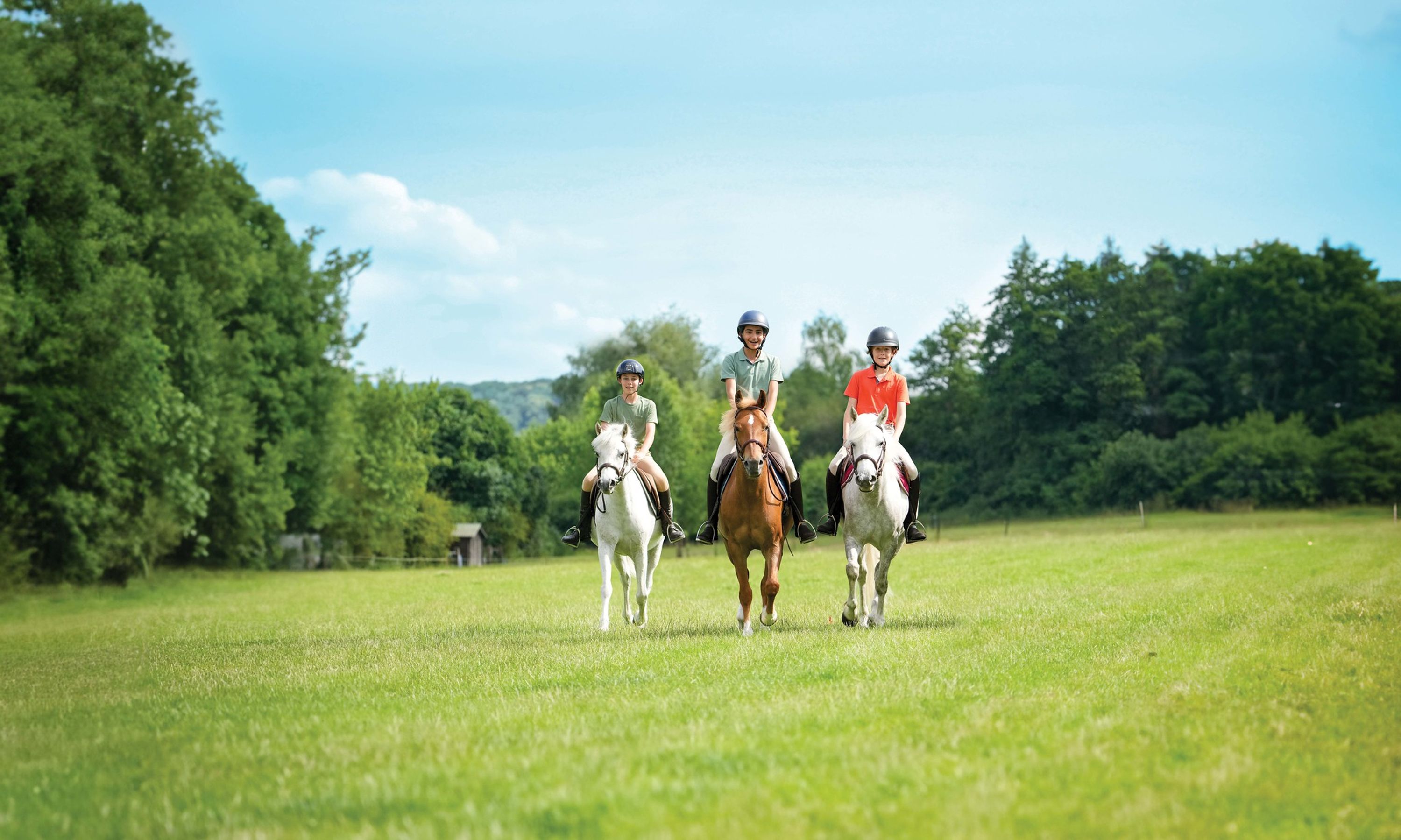 French Equestrian Federation F.F.E