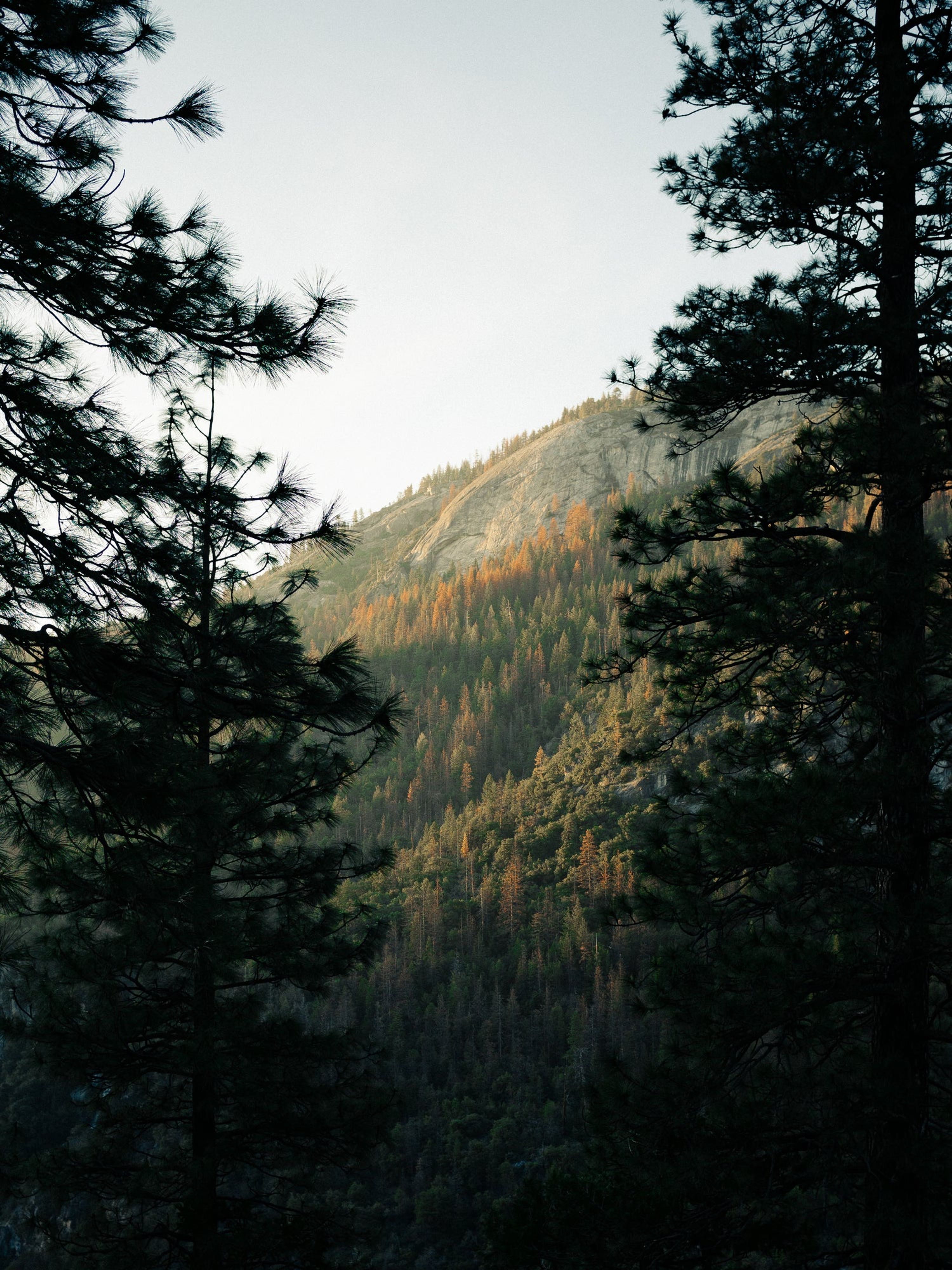 Morehead Campground