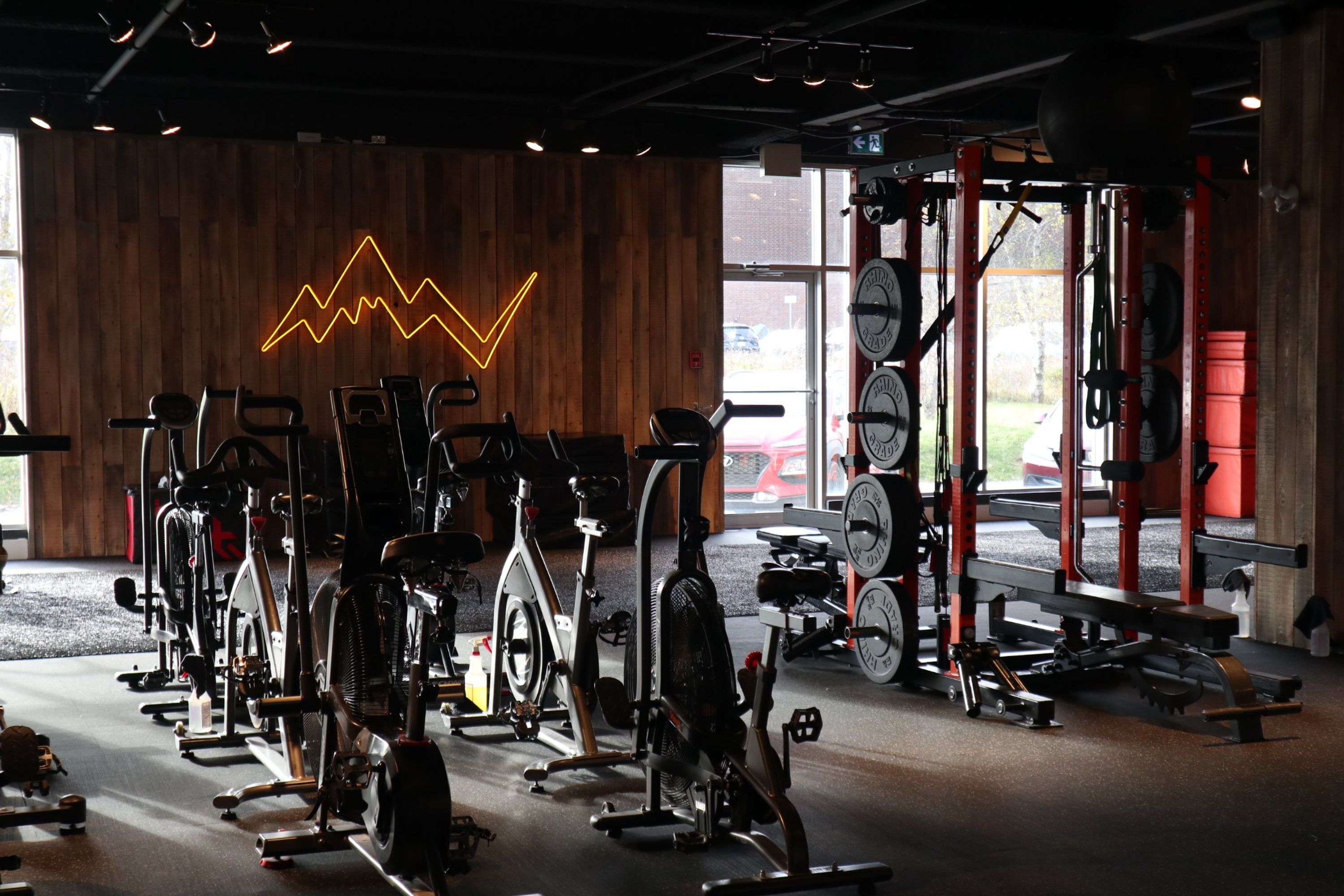 Proedge Elite Training