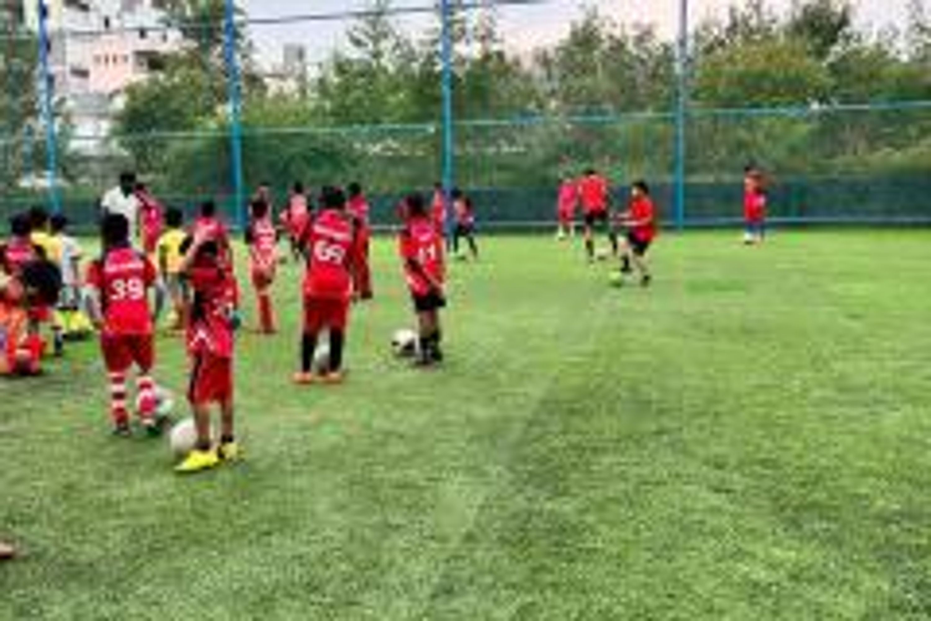 Olympian Box Cricket Turf and Football Academy