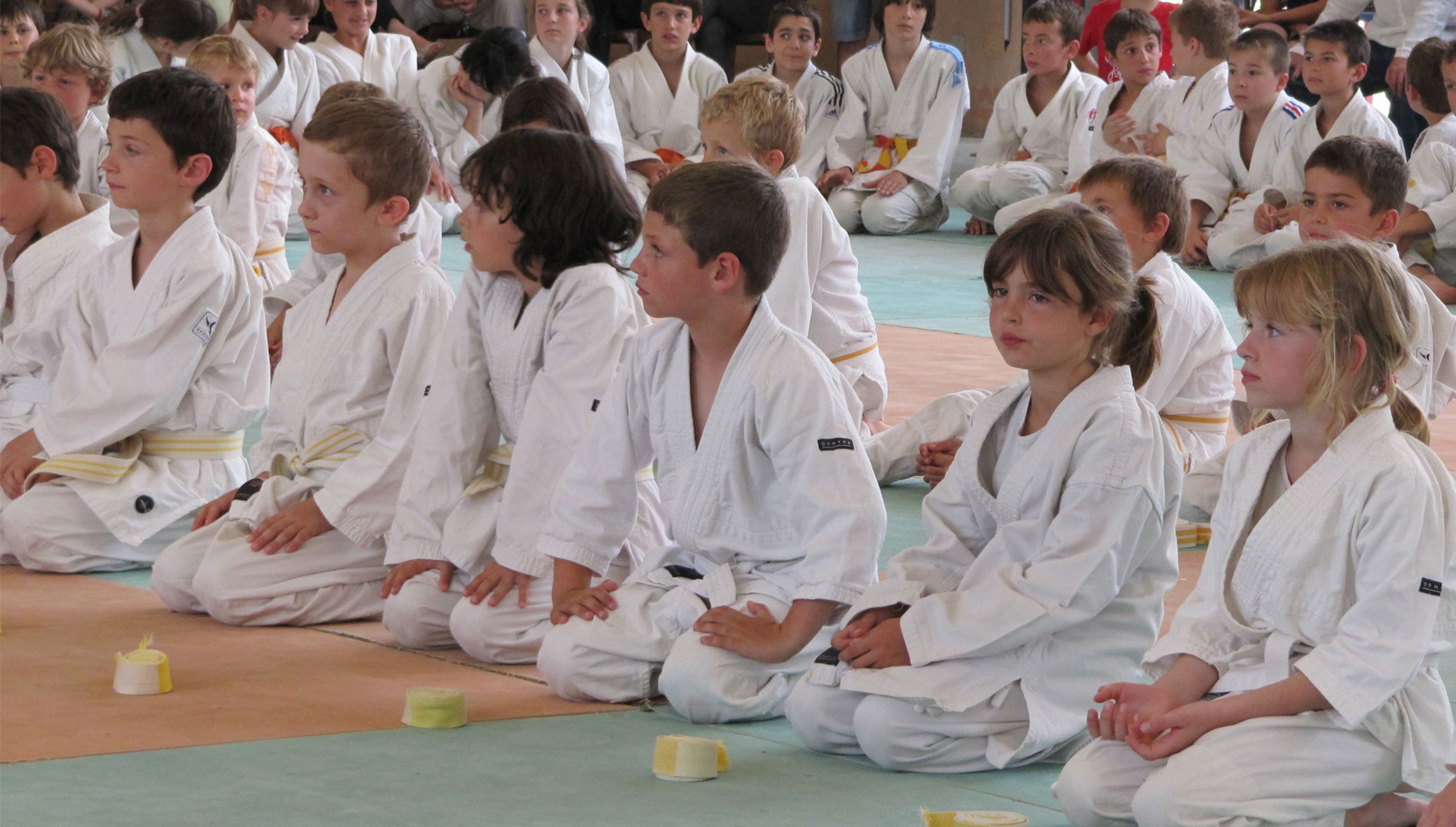 School Of Judo