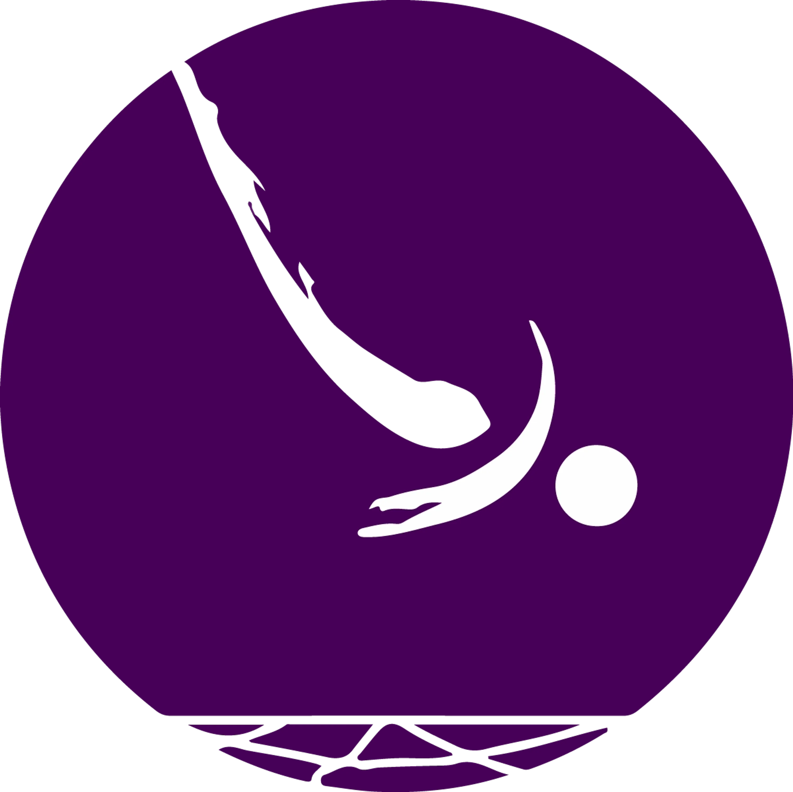 Skybound Gymnastics