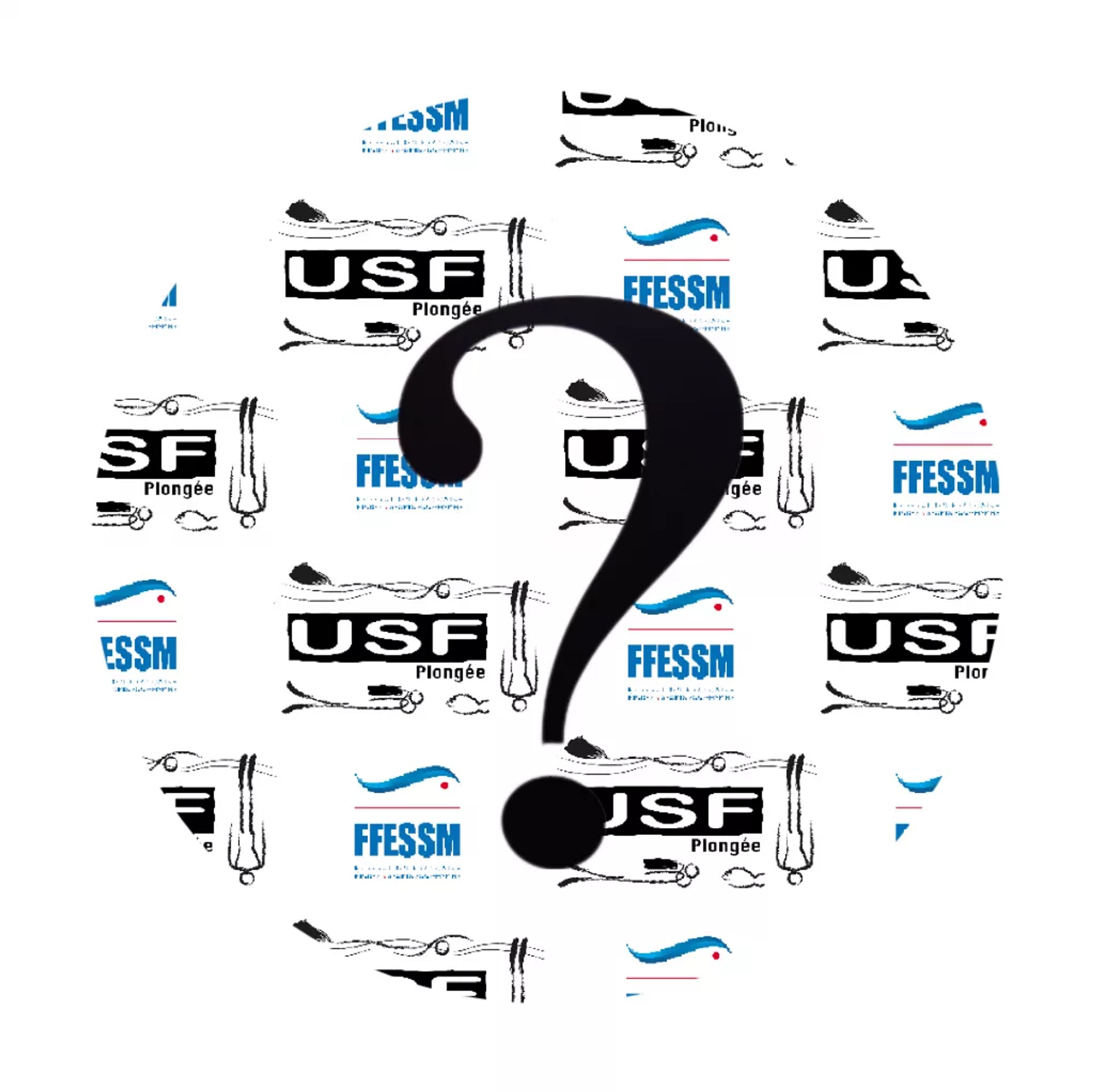 USF PLONGEE