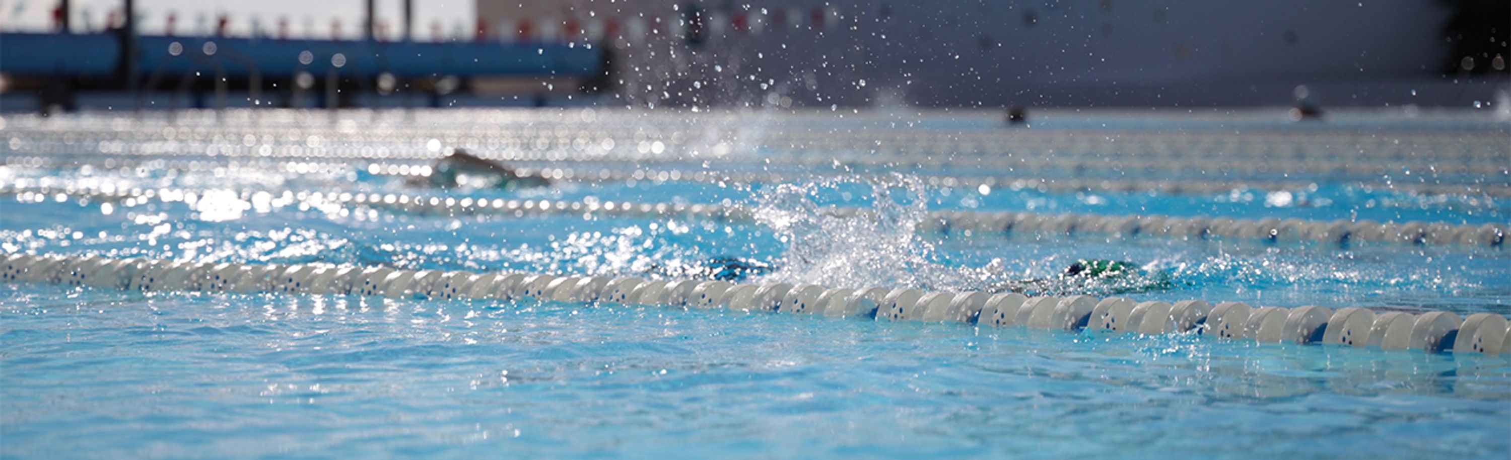 Trojan Swim Club