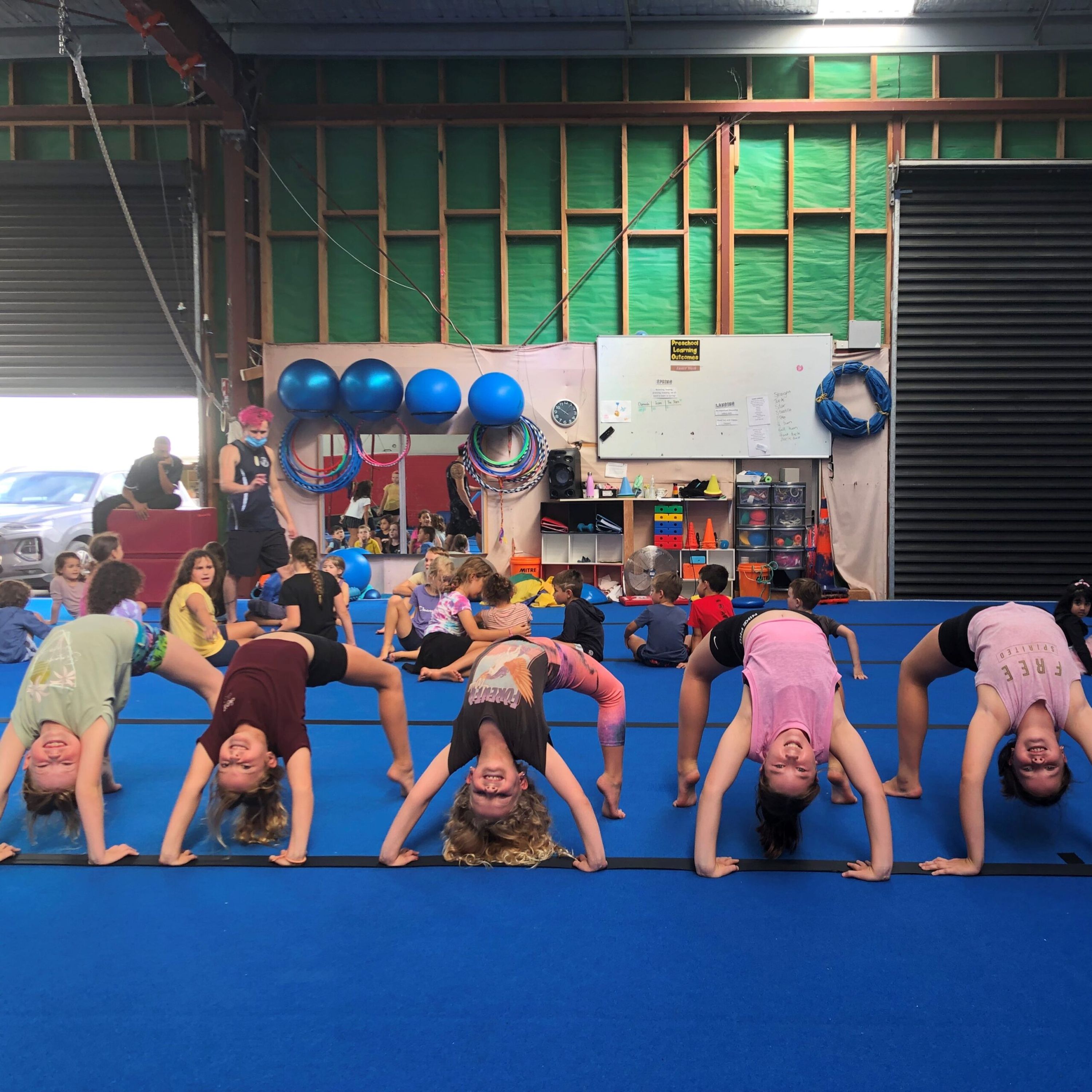 Te Puke Gymsport