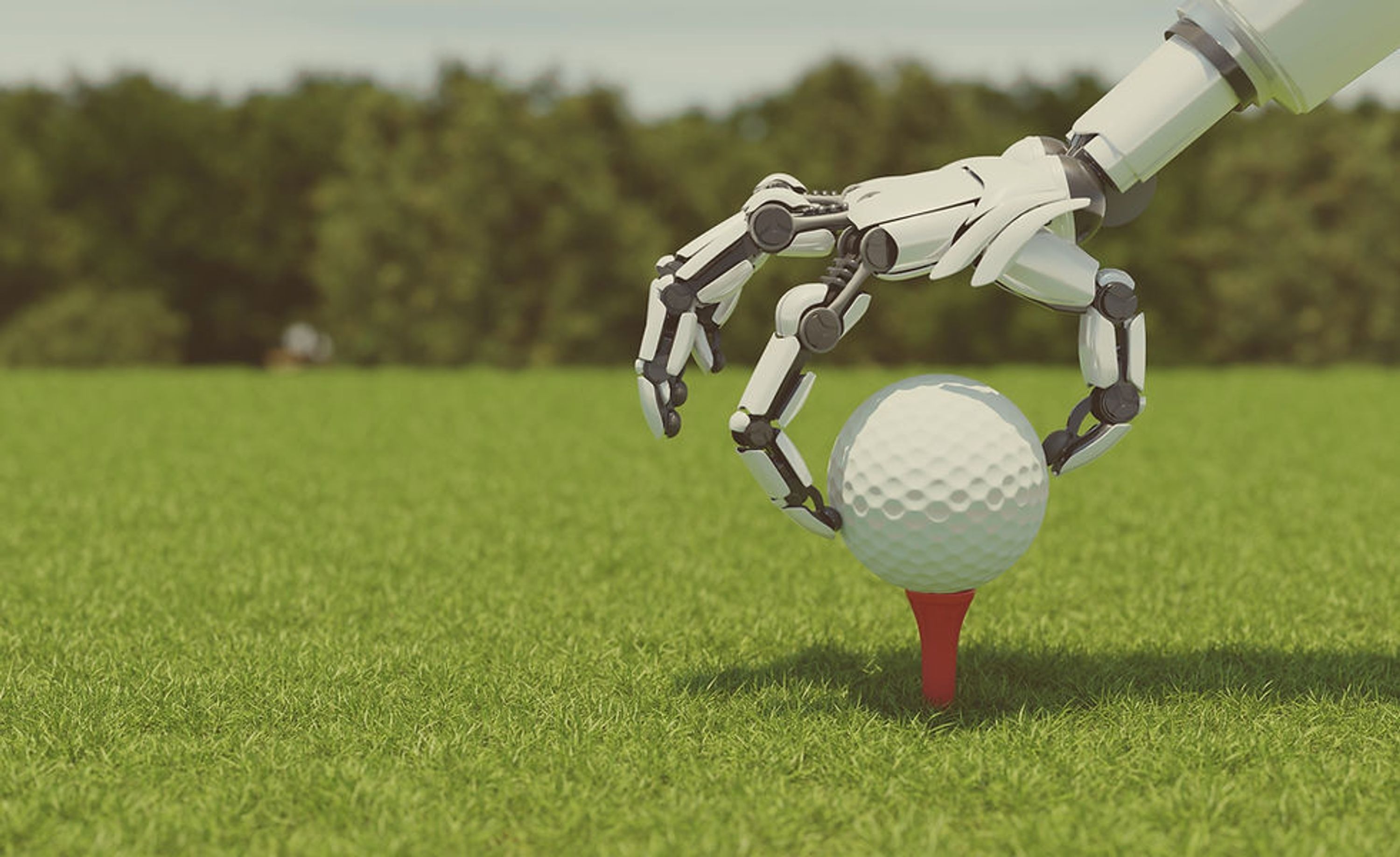 The Golf Den Inc.