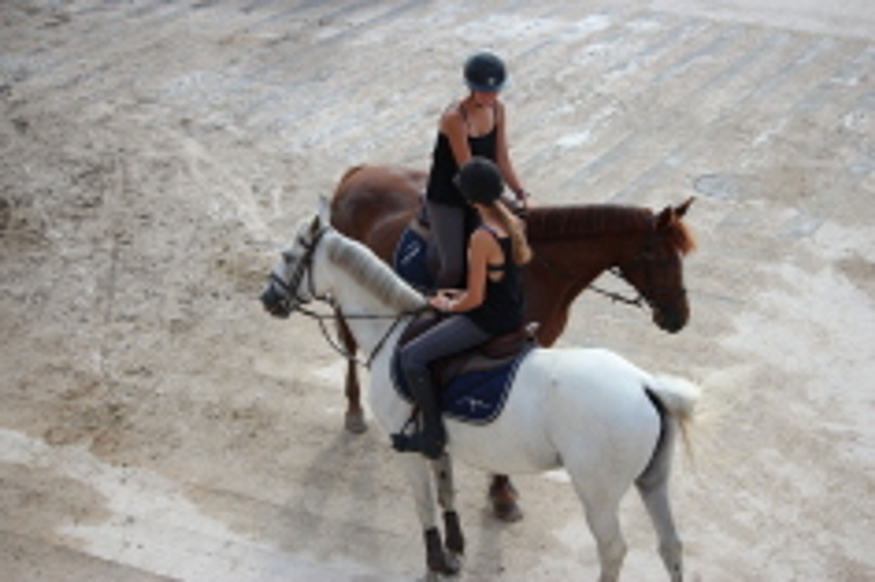 Equestrian Center Des Granges Stud De Sarrabouze