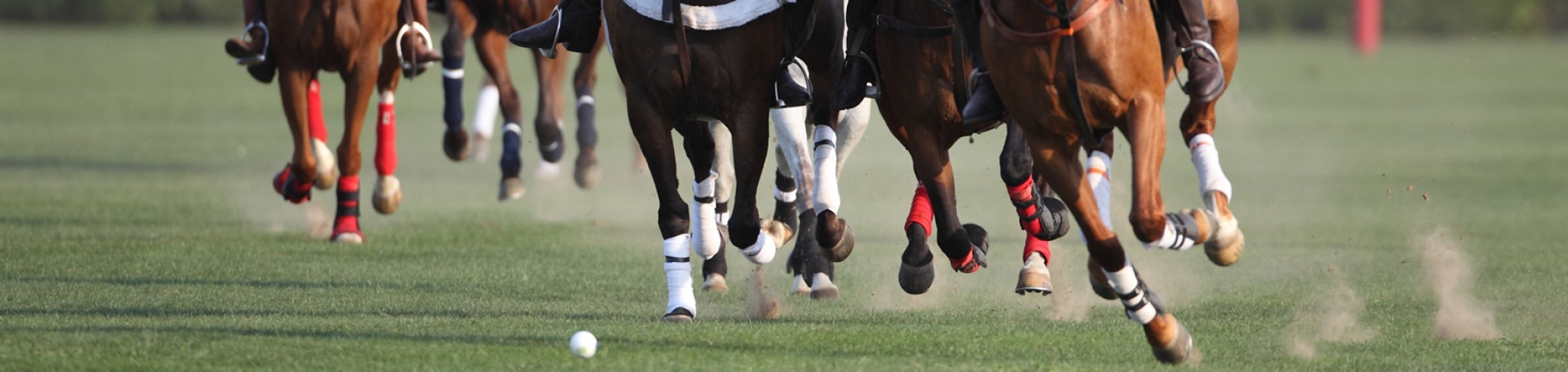 Queensland Polo Association Polo
